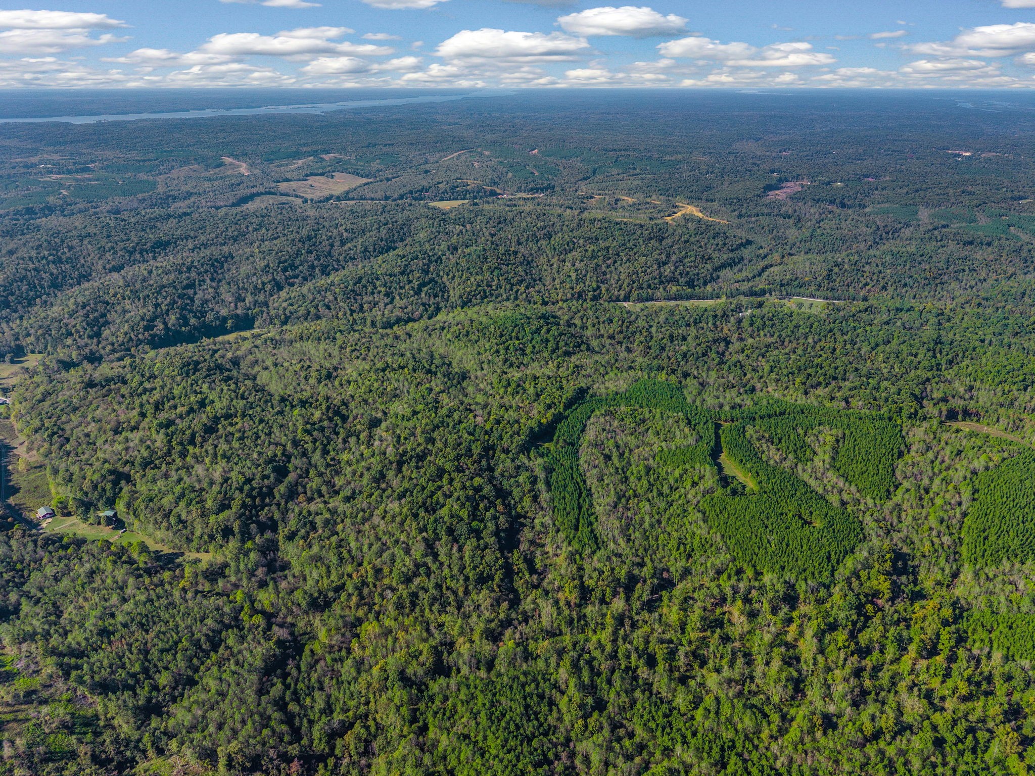 0 Cox Hollow Road Dover, TN 37058 - Photo 13 of 44 a view of a city