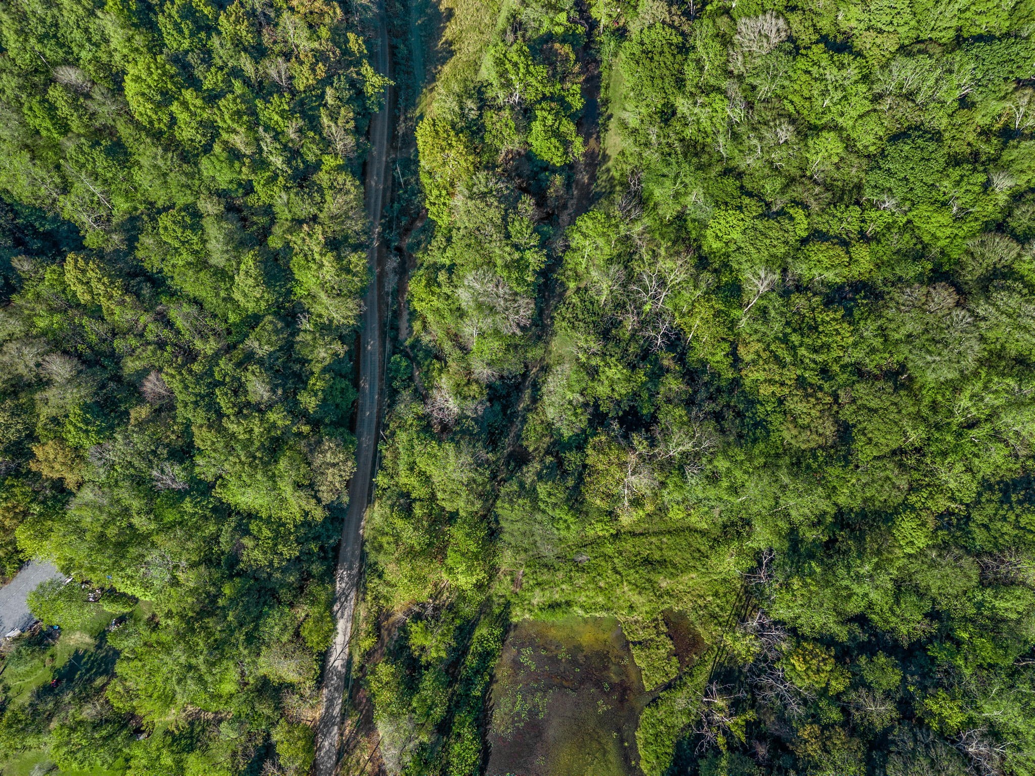 0 Cox Hollow Road Dover, TN 37058 - Photo 16 of 44