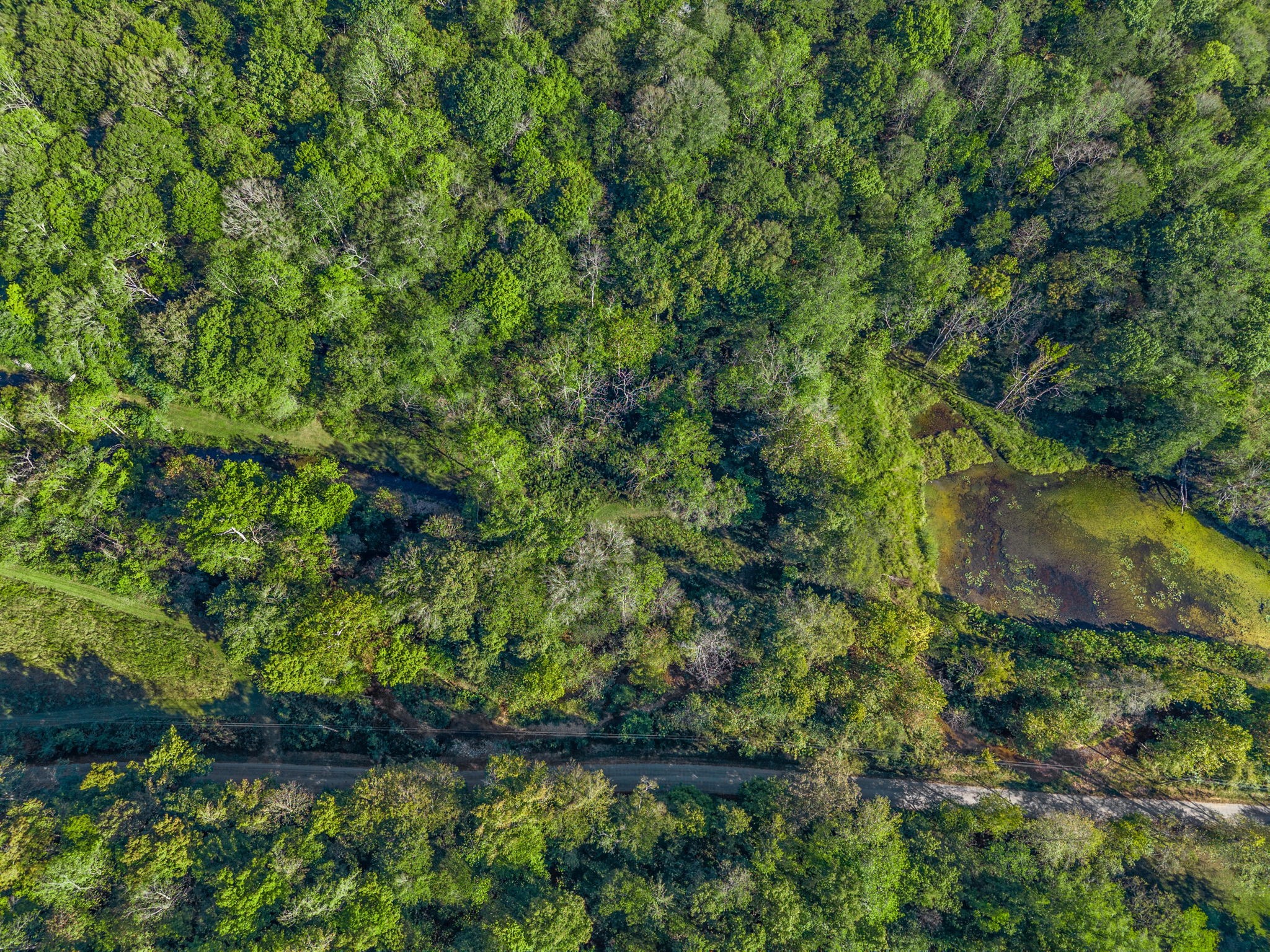 0 Cox Hollow Road Dover, TN 37058 - Photo 18 of 44