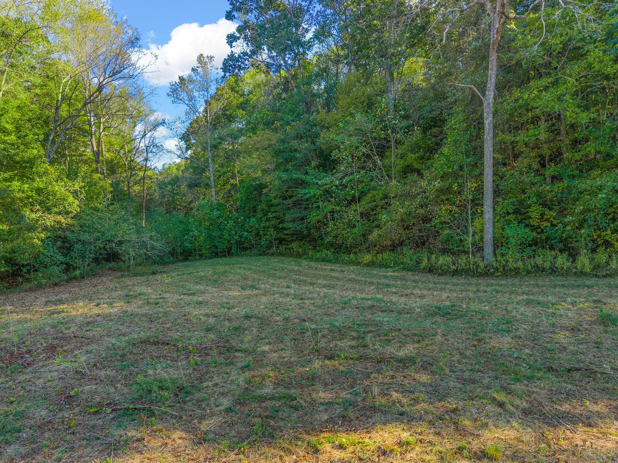 0 Cox Hollow Road Dover, TN 37058 - Photo 24 of 44 a view of a big yard with lots of green space