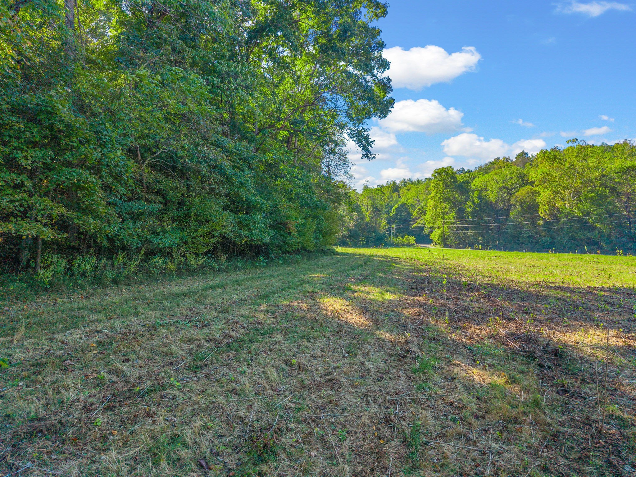 0 Cox Hollow Road Dover, TN 37058 - Photo 25 of 44 a view of outdoor space with trees all around