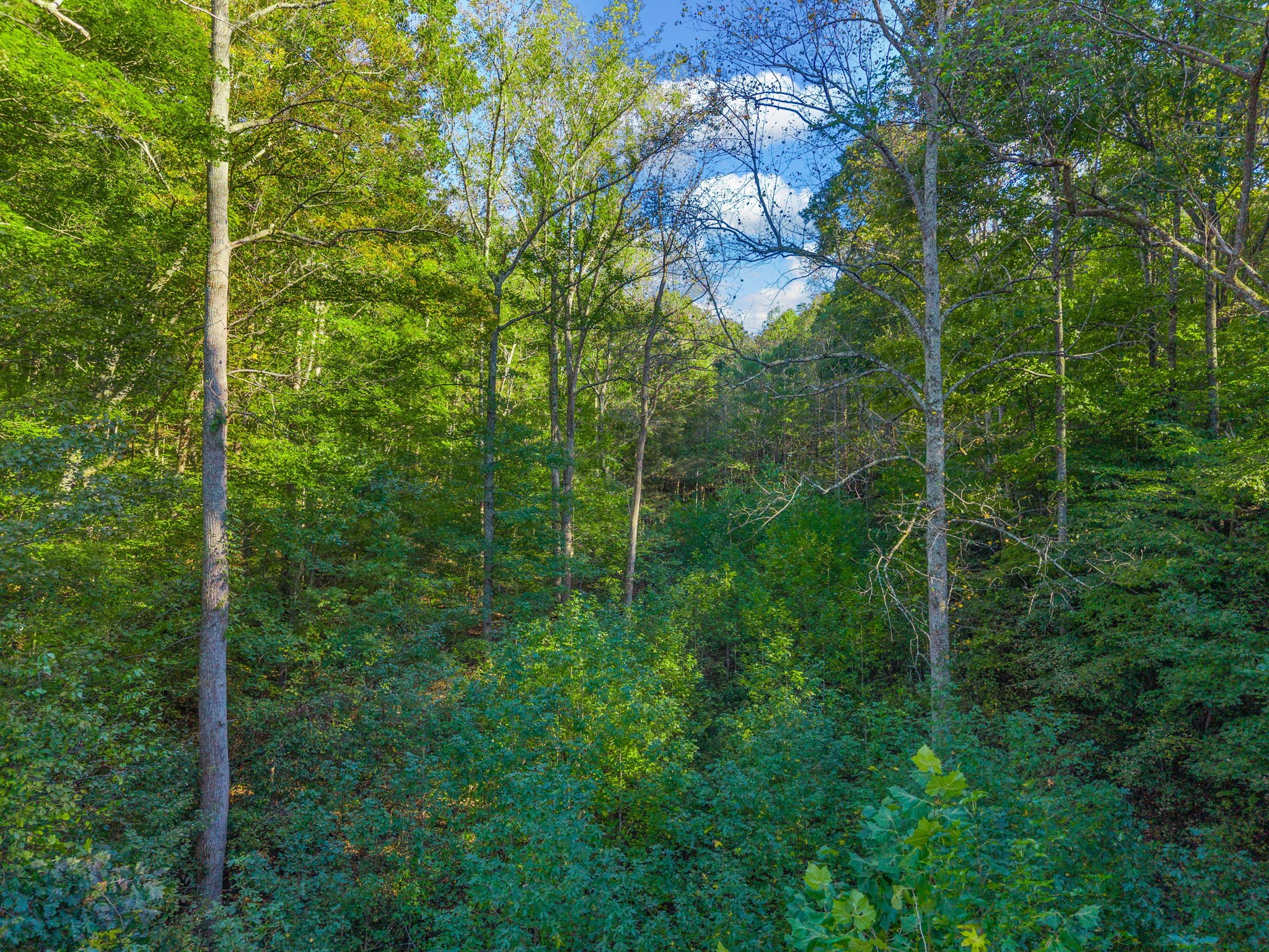 0 Cox Hollow Road Dover, TN 37058 - Photo 27 of 44