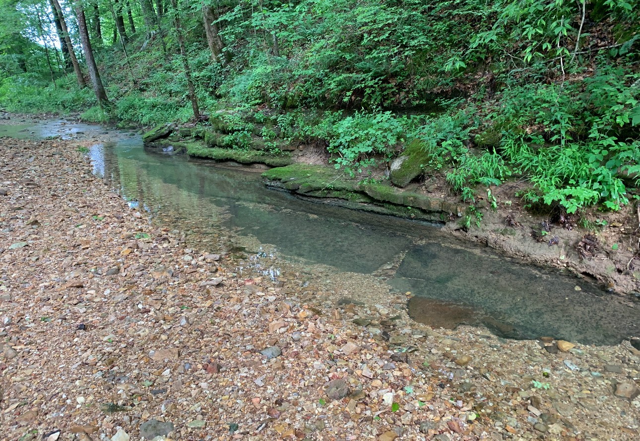 0 Cox Hollow Road Dover, TN 37058 - Photo 42 of 44 a view of a water pond with green space