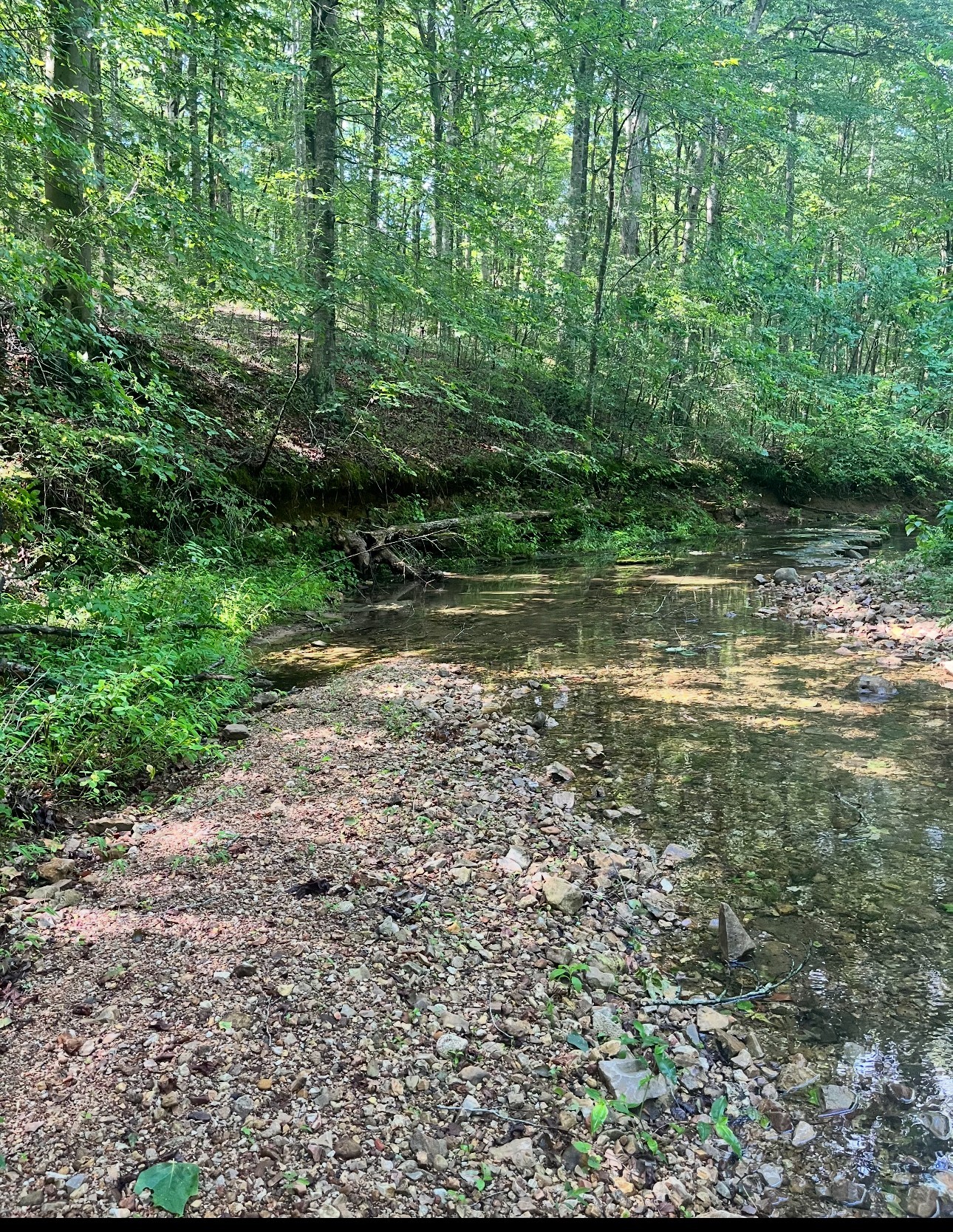 0 Cox Hollow Road Dover, TN 37058 - Photo 43 of 44 a view of a lake with lots of trees