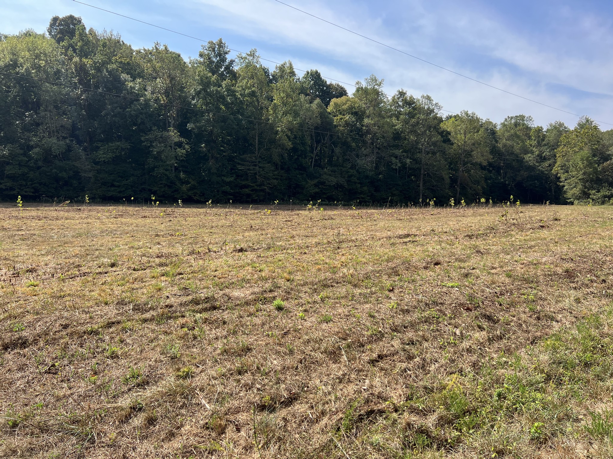 0 Cox Hollow Road Dover, TN 37058 - Photo 5 of 44 a view of a lake view