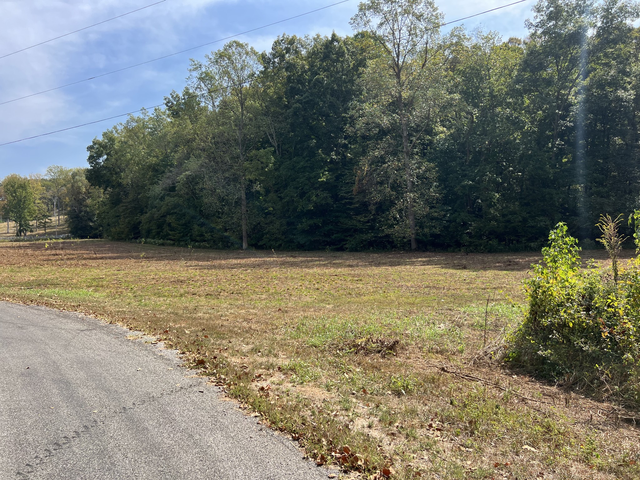 0 Cox Hollow Road Dover, TN 37058 - Photo 8 of 44 a view of a yard with an outdoor space