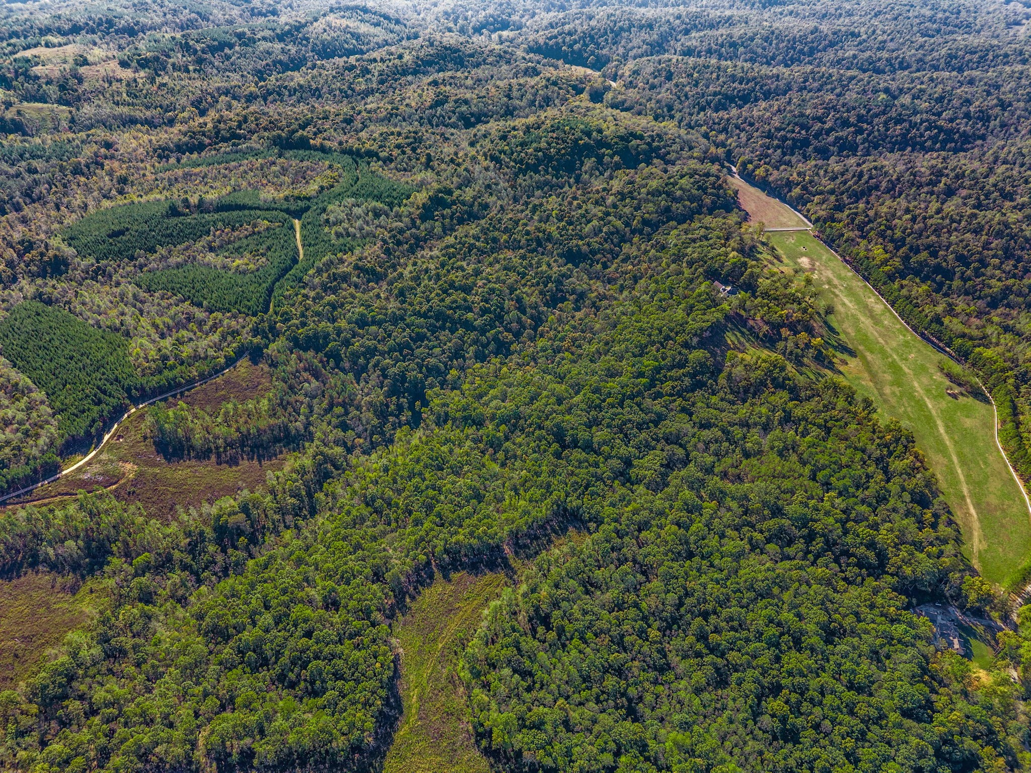 0 Cox Hollow Road Dover, TN 37058 - Photo 10 of 44