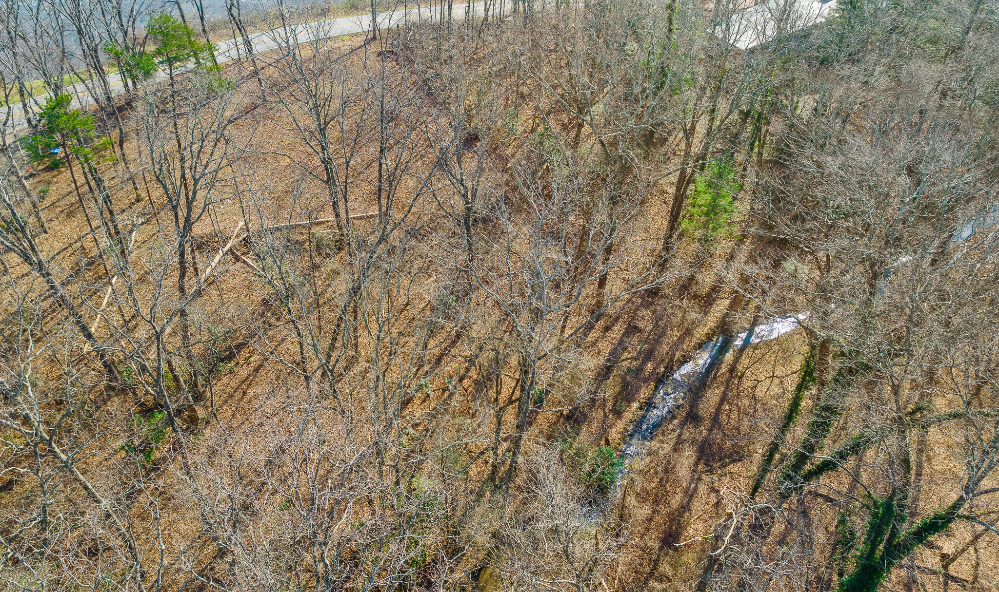 0 East Brow Road, Unit LOT 12 Signal Mountain, TN 37377 - Photo 18 of 37 Aerial View