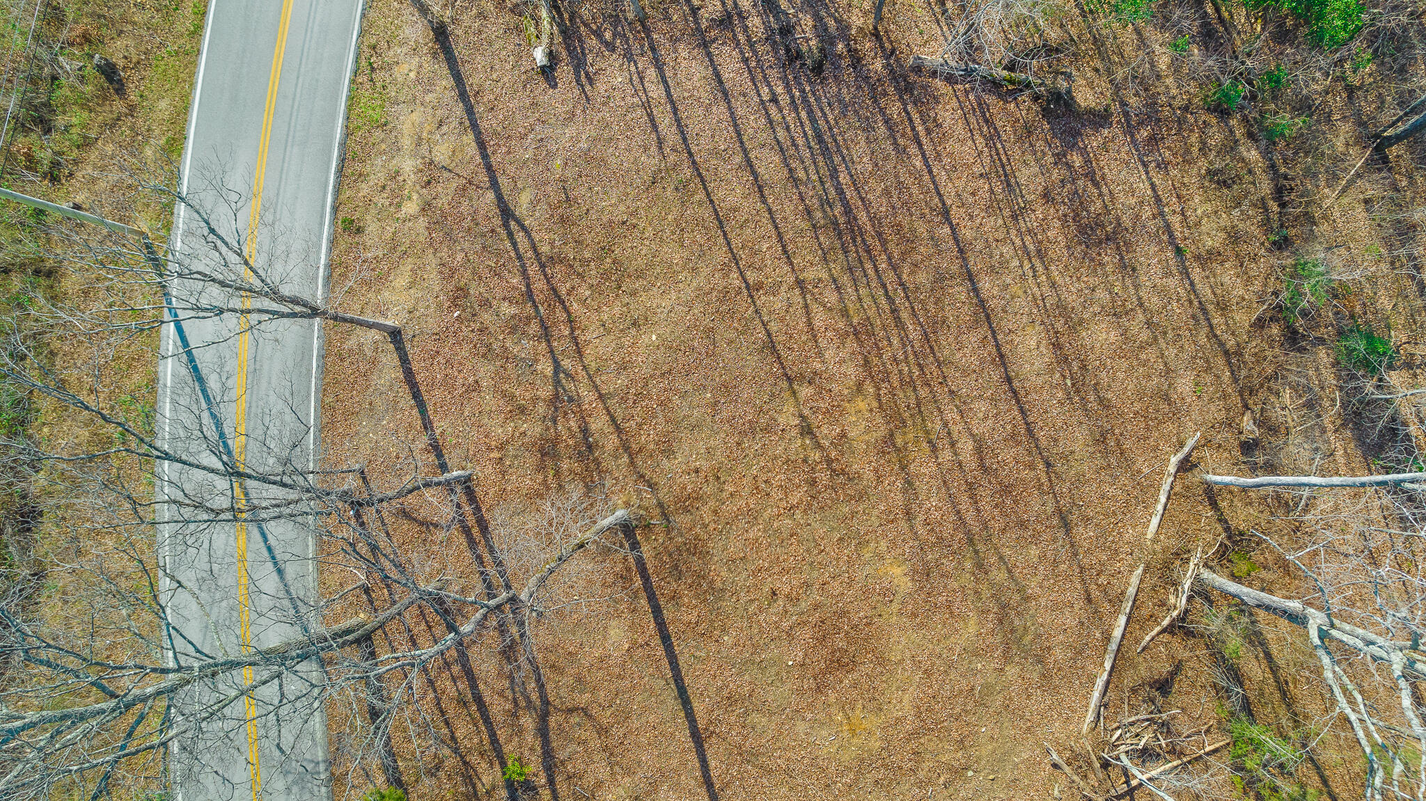 0 East Brow Road, Unit LOT 12 Signal Mountain, TN 37377 - Photo 19 of 37 Aerial View