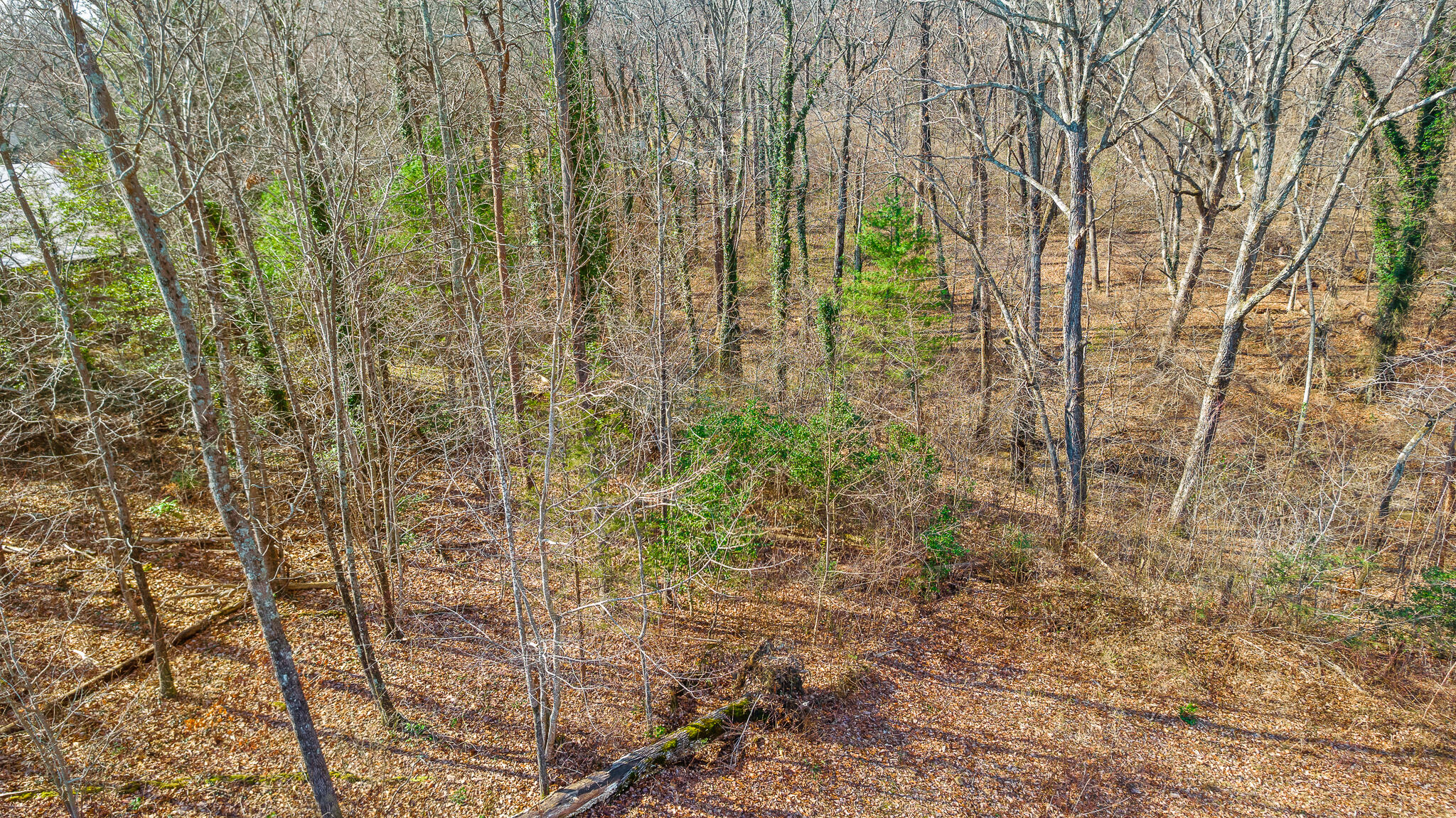 0 East Brow Road, Unit LOT 12 Signal Mountain, TN 37377 - Photo 21 of 37 Aerial View