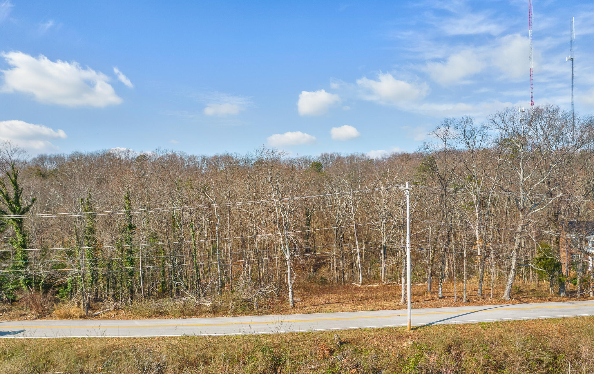 0 East Brow Road, Unit LOT 12 Signal Mountain, TN 37377 - Photo 23 of 37 Road Frontage