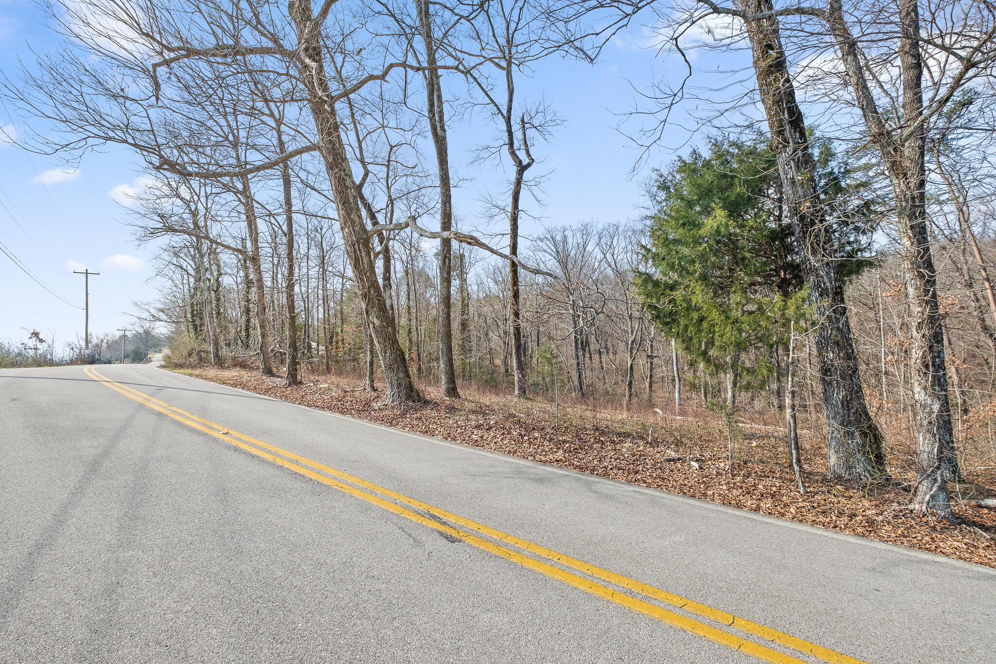 0 East Brow Road, Unit LOT 12 Signal Mountain, TN 37377 - Photo 24 of 37 E Brow Rd