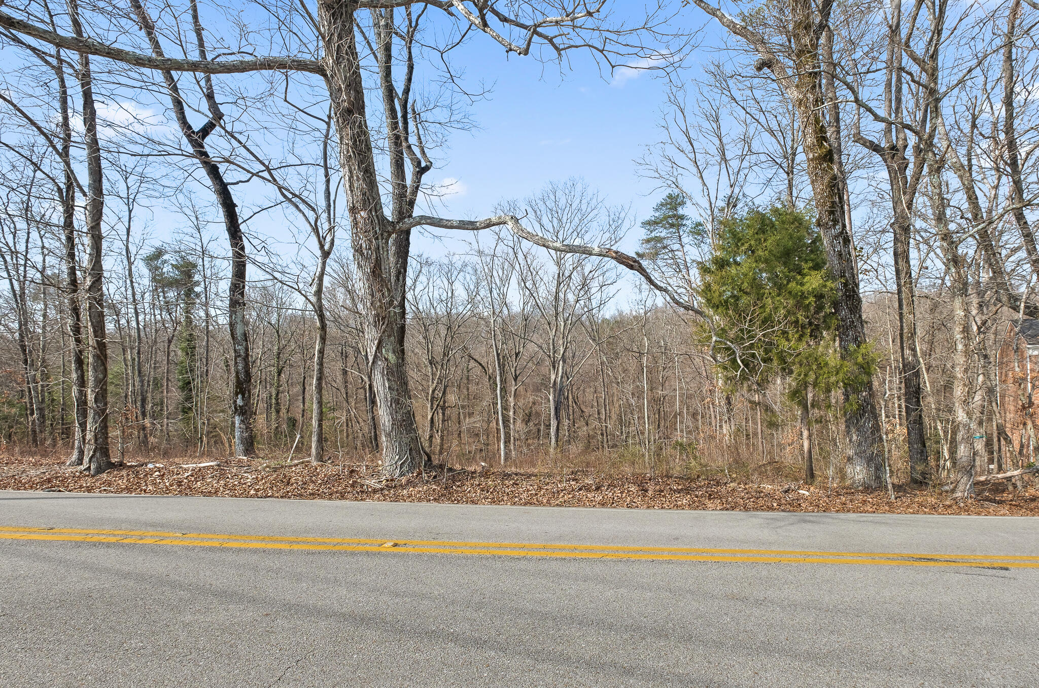 0 East Brow Road, Unit LOT 12 Signal Mountain, TN 37377 - Photo 25 of 37 E Brow Rd