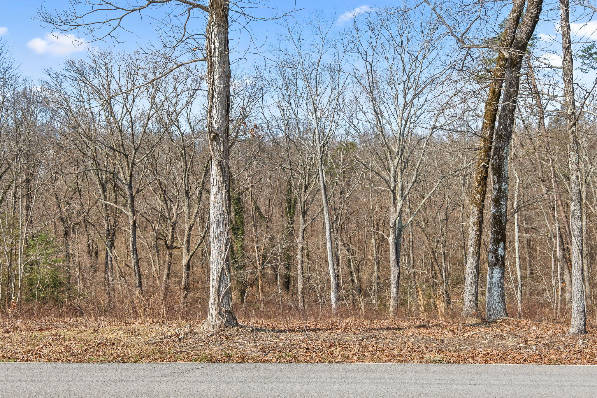 0 East Brow Road, Unit LOT 12 Signal Mountain, TN 37377 - Photo 27 of 37 E Brow Rd