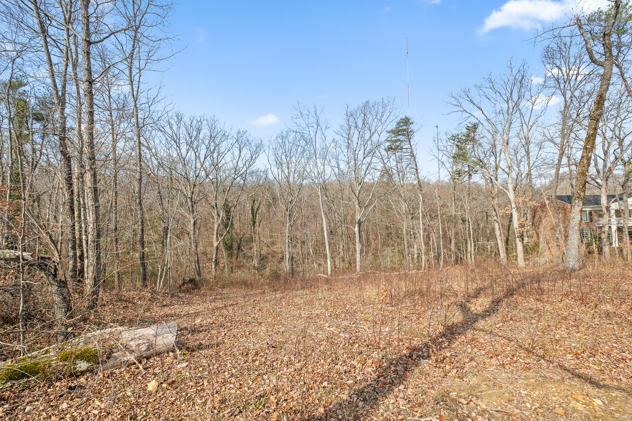0 East Brow Road, Unit LOT 12 Signal Mountain, TN 37377 - Photo 28 of 37 Acreage