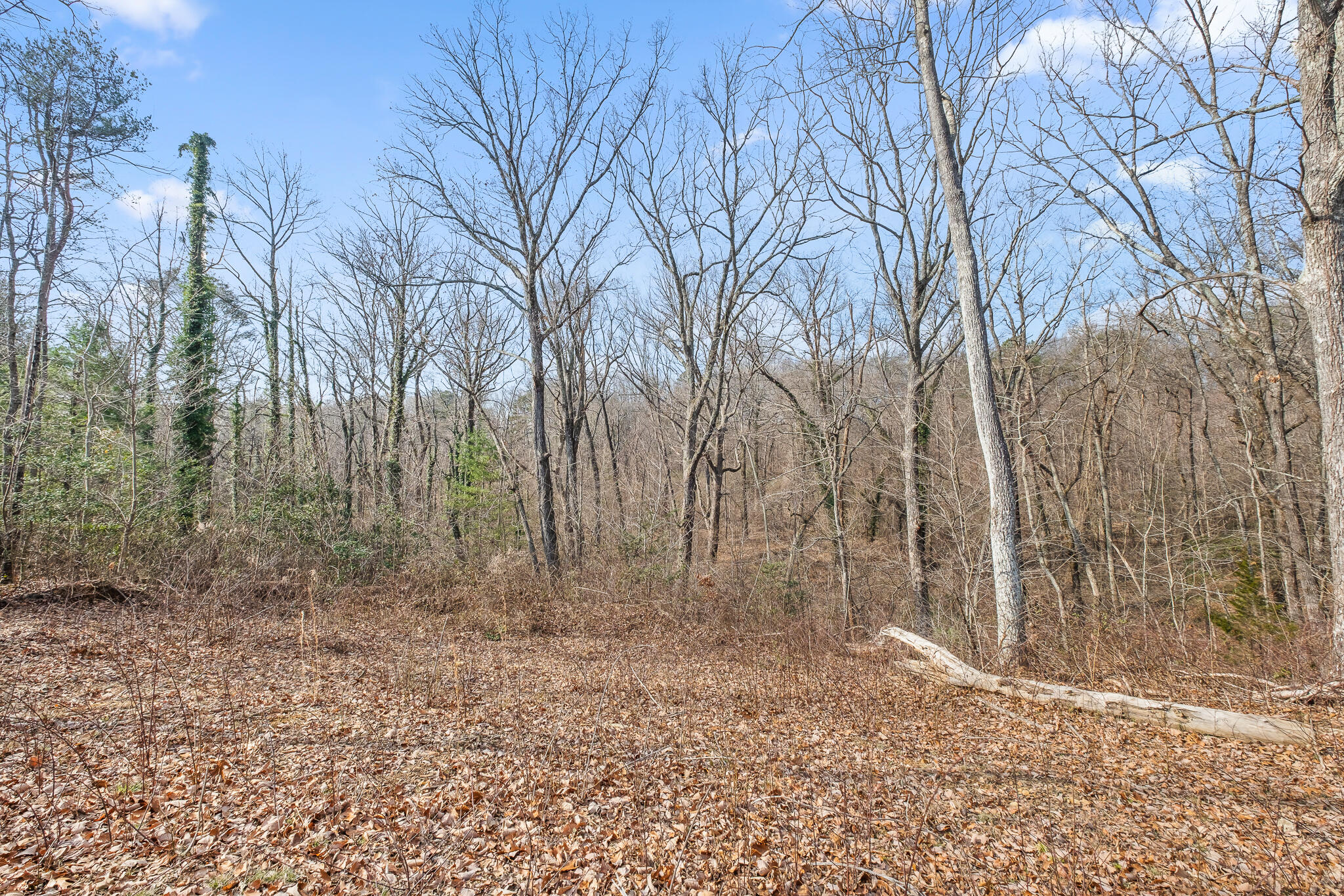 0 East Brow Road, Unit LOT 12 Signal Mountain, TN 37377 - Photo 30 of 37 Acreage