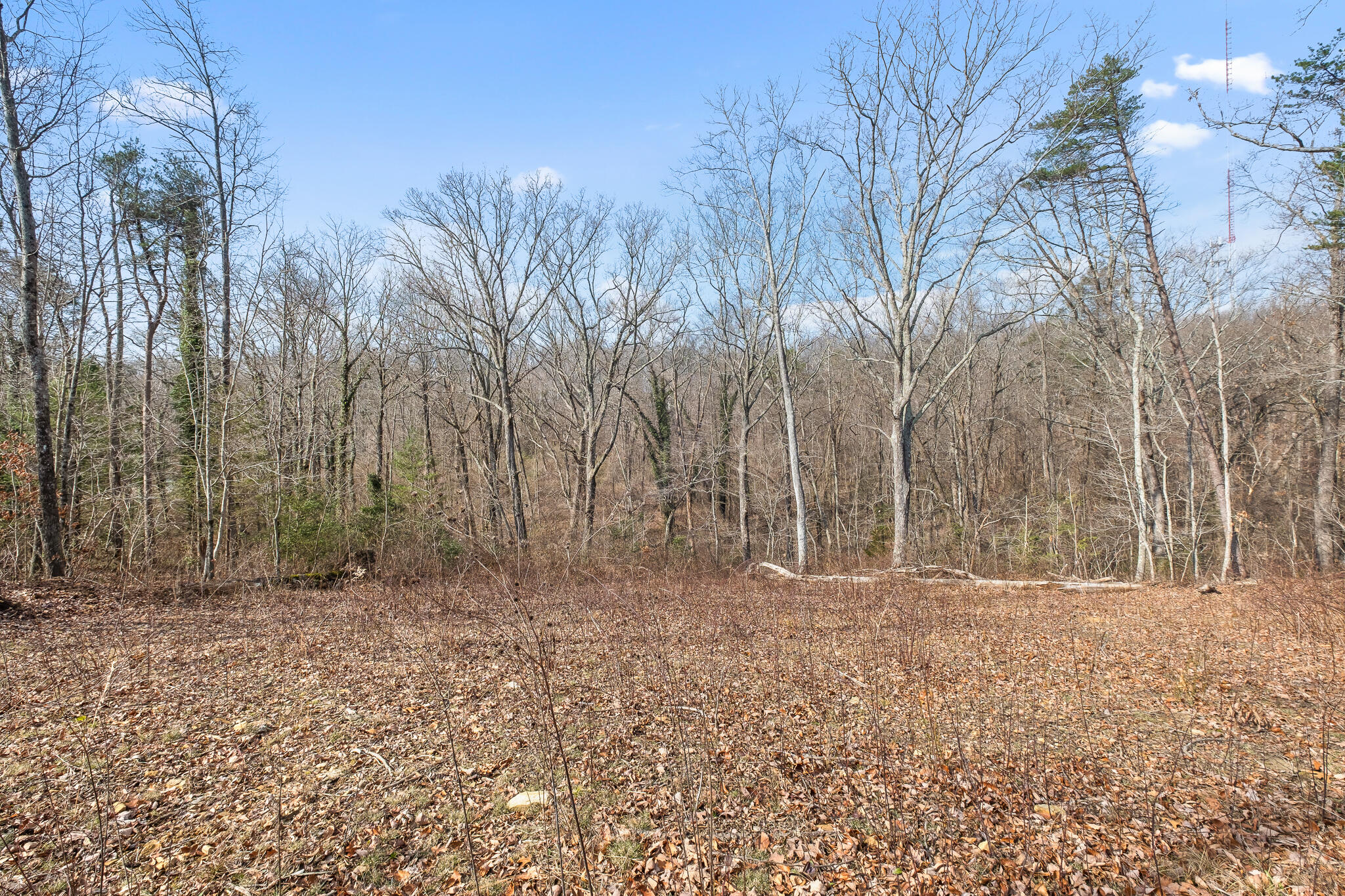 0 East Brow Road, Unit LOT 12 Signal Mountain, TN 37377 - Photo 31 of 37 Acreage