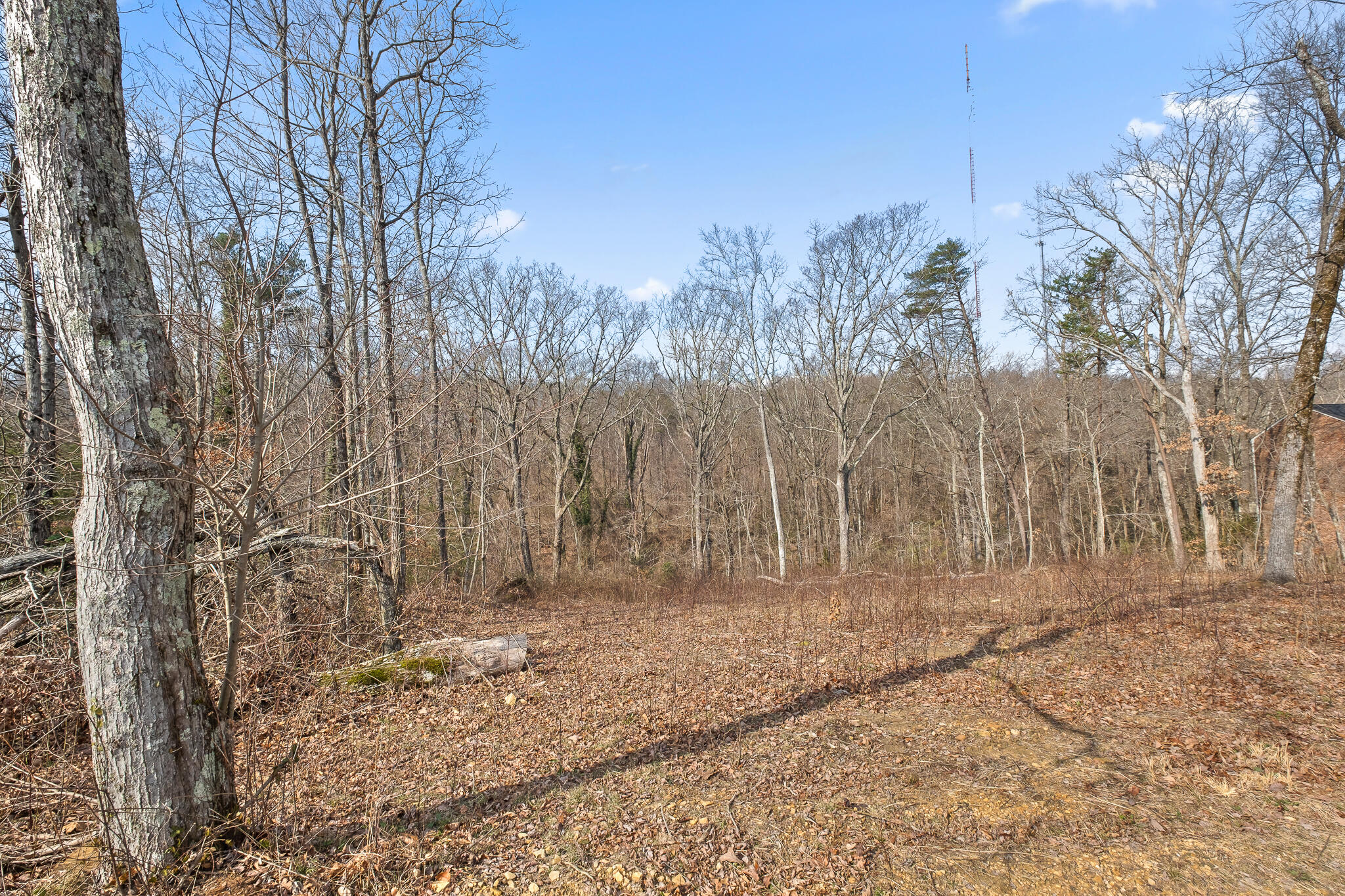 0 East Brow Road, Unit LOT 12 Signal Mountain, TN 37377 - Photo 32 of 37 Acreage