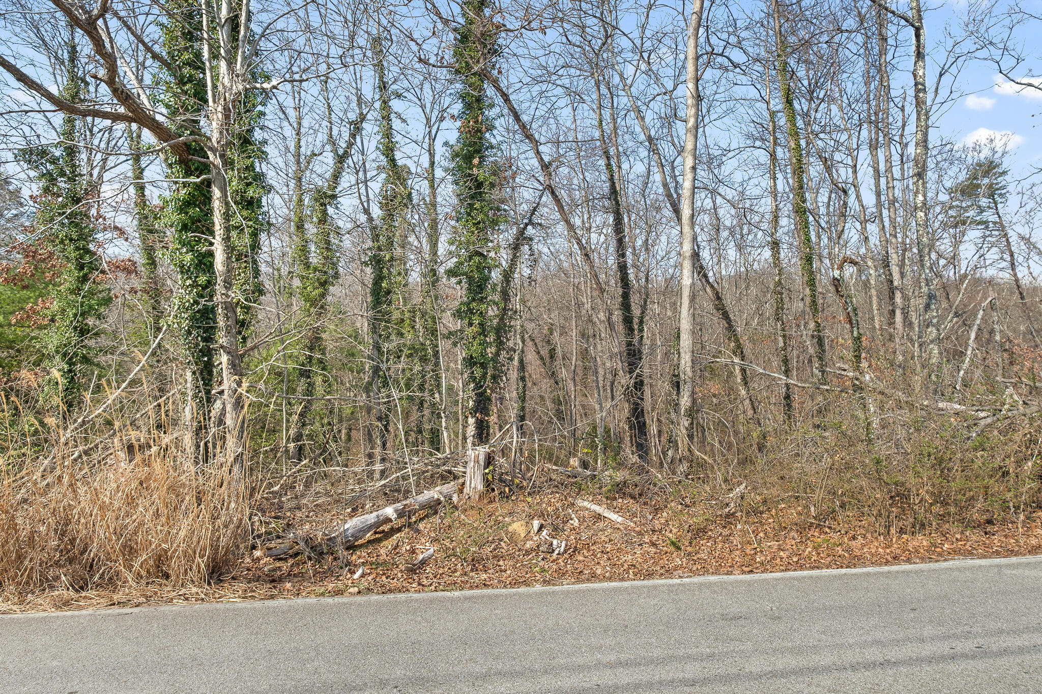 0 East Brow Road, Unit LOT 12 Signal Mountain, TN 37377 - Photo 34 of 37 Road Frontage