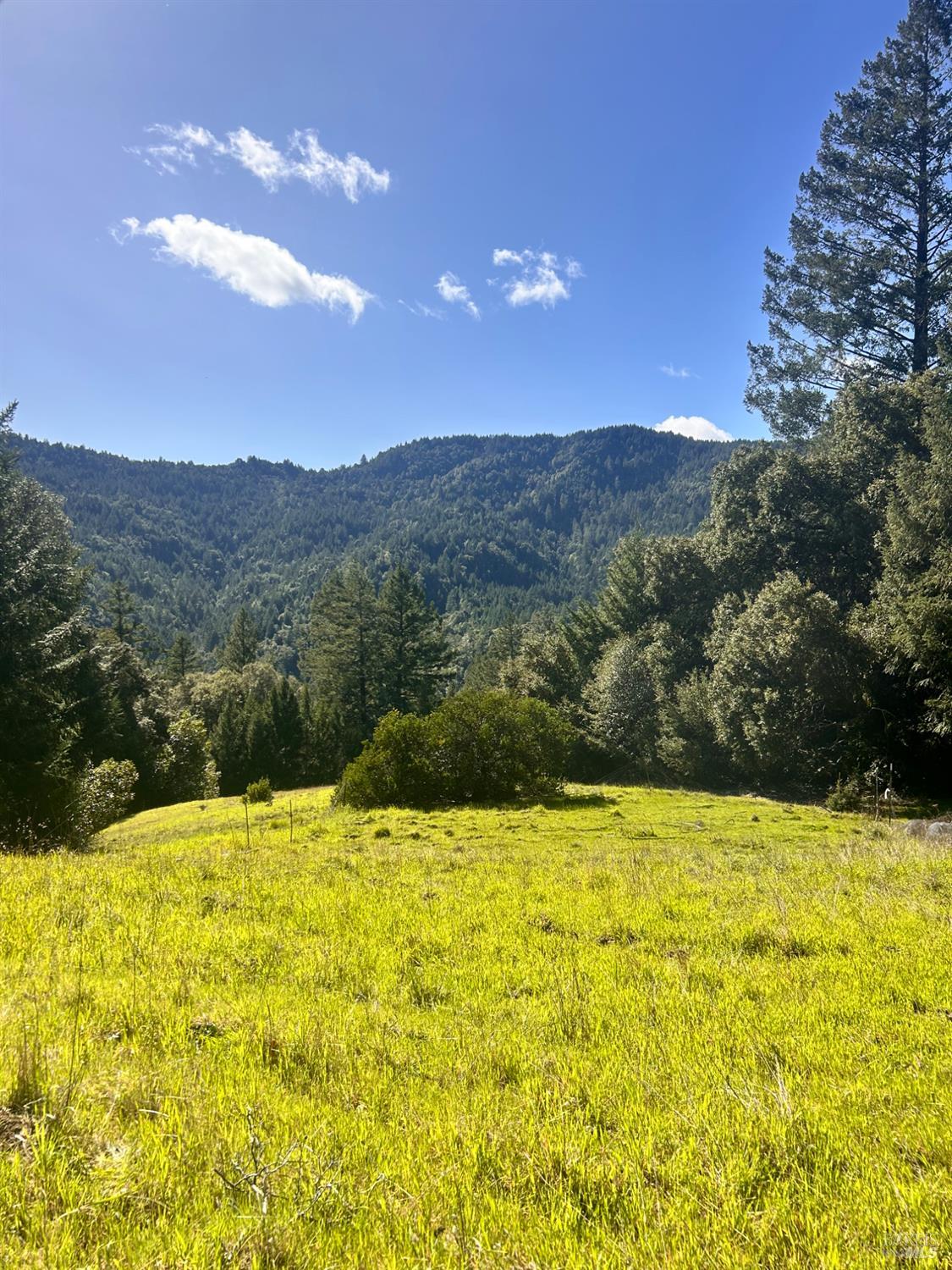 4100 Hansen Ranch Road Garberville, CA 95542 - Photo 21 of 22