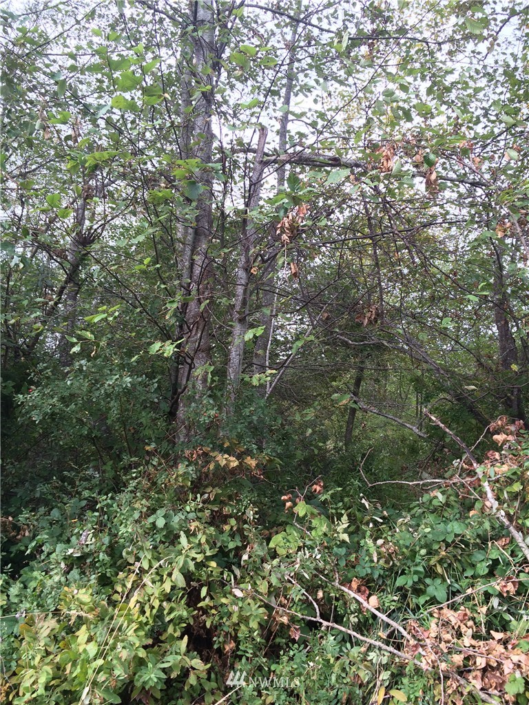 -xxx Hoff Road Bellingham, WA 98225 - Photo 1 of 5