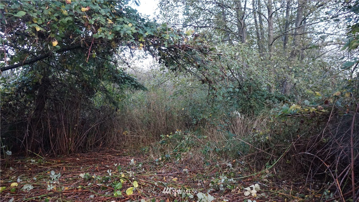 -xxx Hoff Road Bellingham, WA 98225 - Photo 4 of 5
