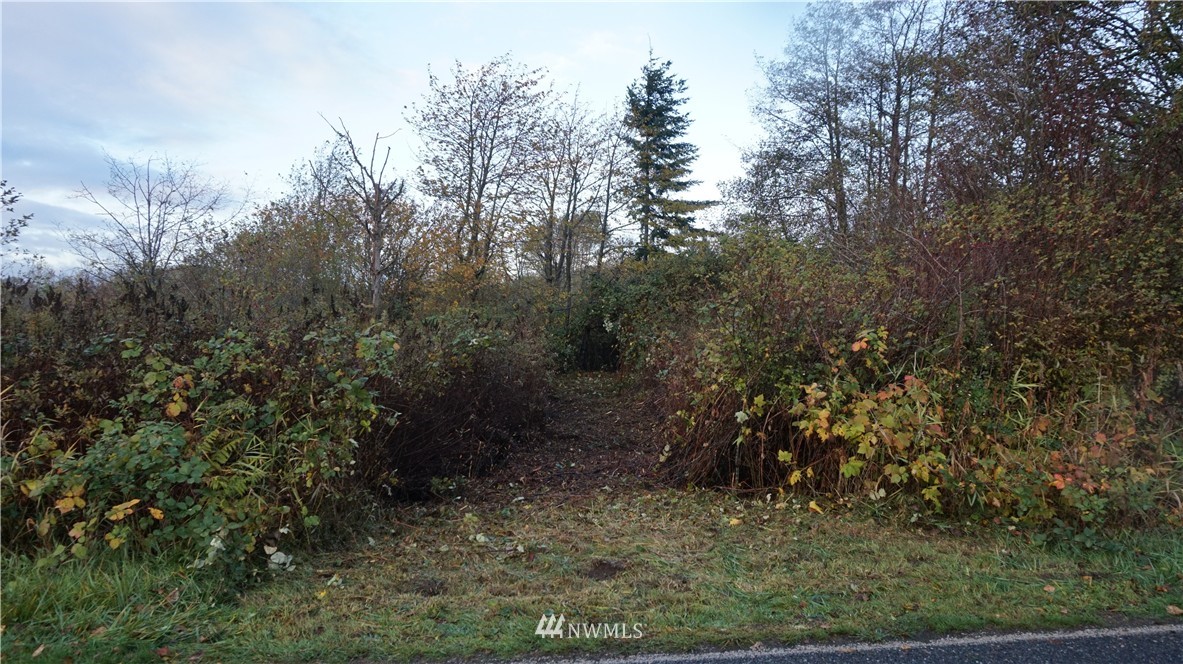 -xxx Hoff Road Bellingham, WA 98225 - Photo 5 of 5
