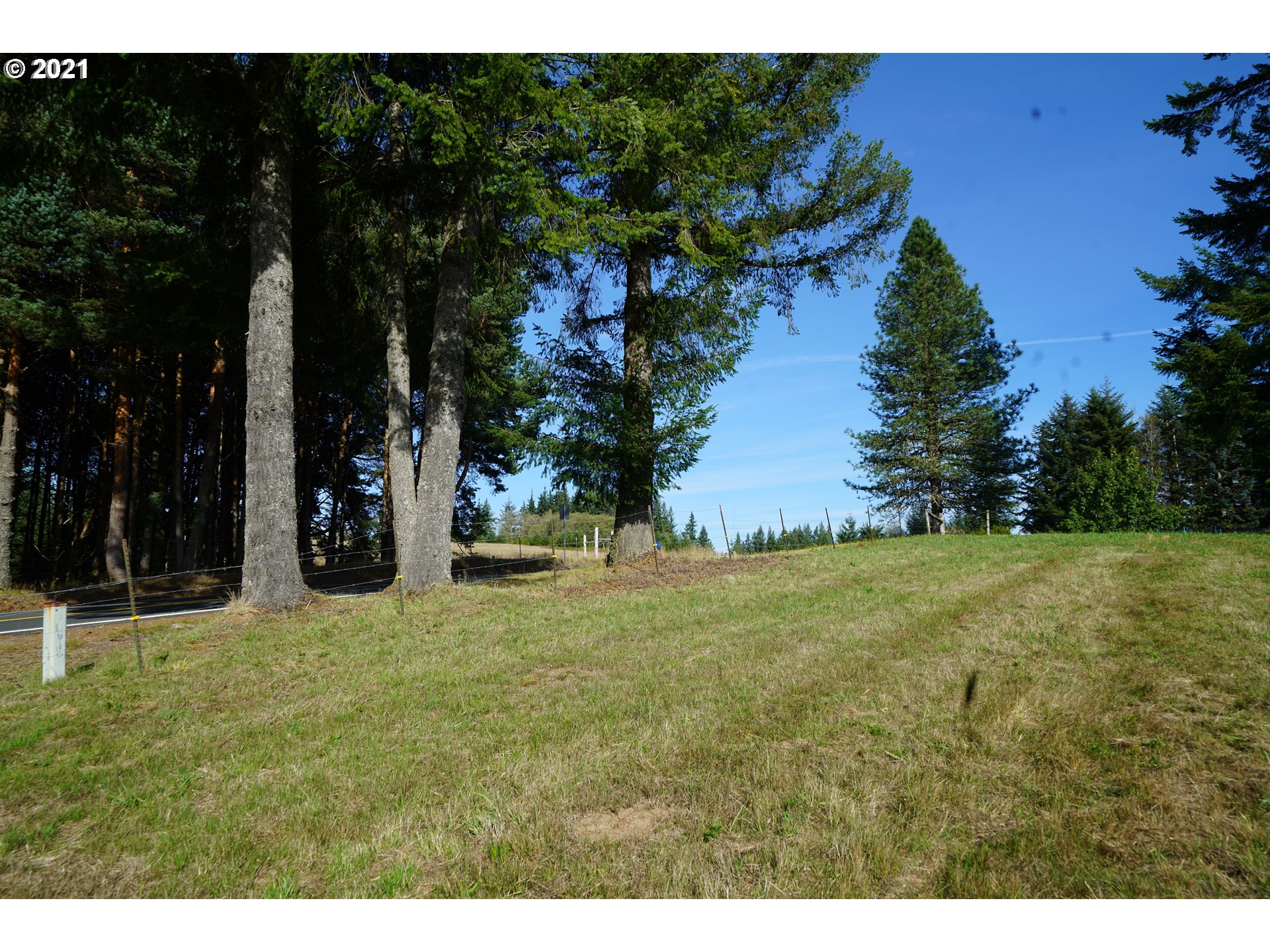 2605 Mt Pleasant Road Kelso, WA 98626 - Photo 2 of 13 Gallery Image 2