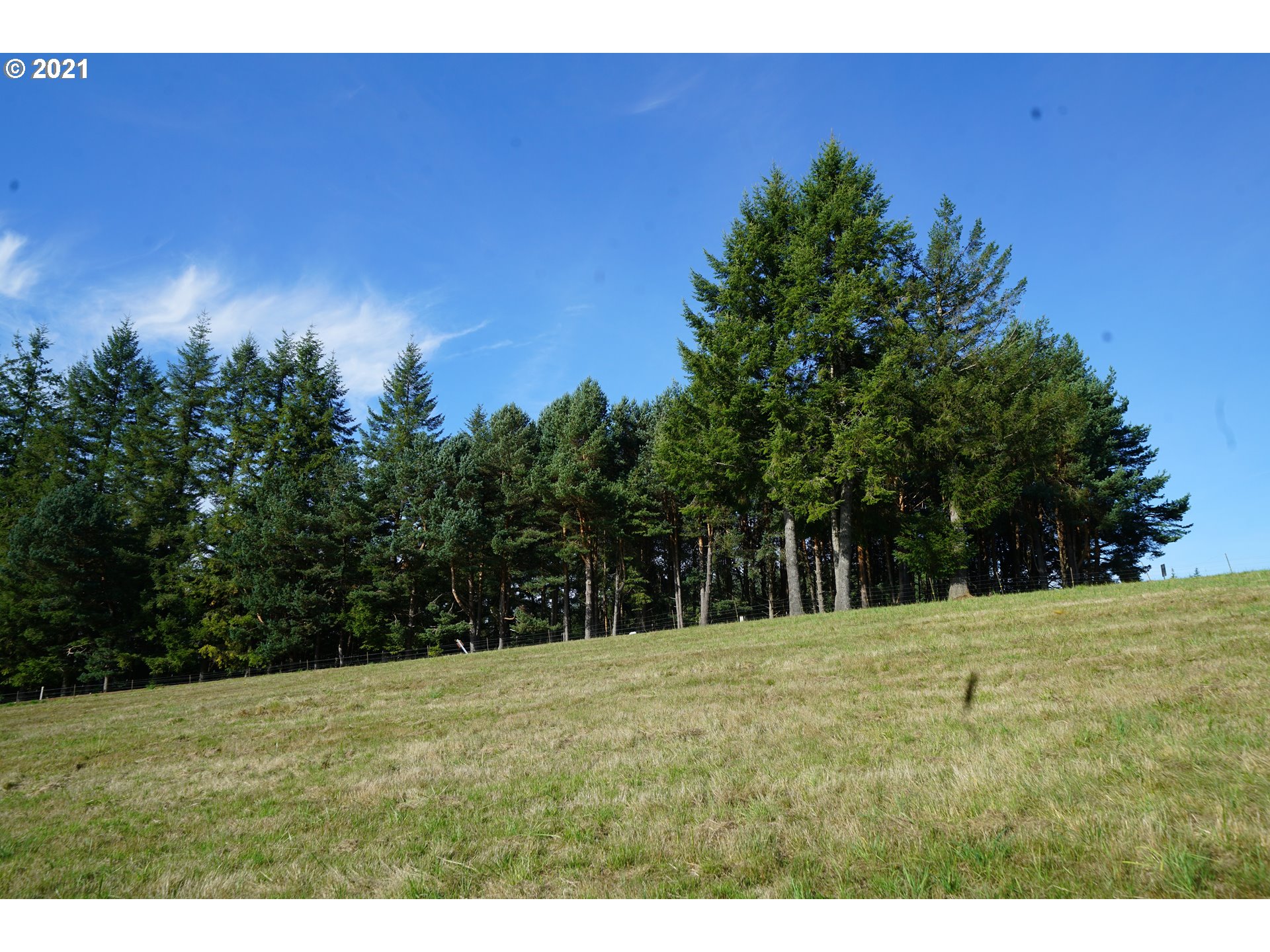 2605 Mt Pleasant Road Kelso, WA 98626 - Photo 3 of 13 Gallery Image 3