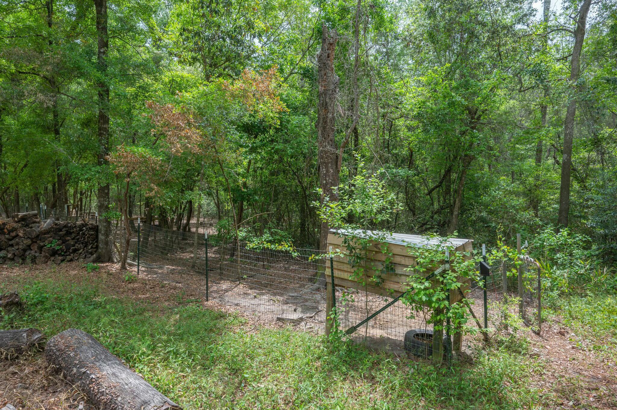 6188 Old River Road Baker, FL 32531 - Photo 28 of 34 a view of a park with large trees