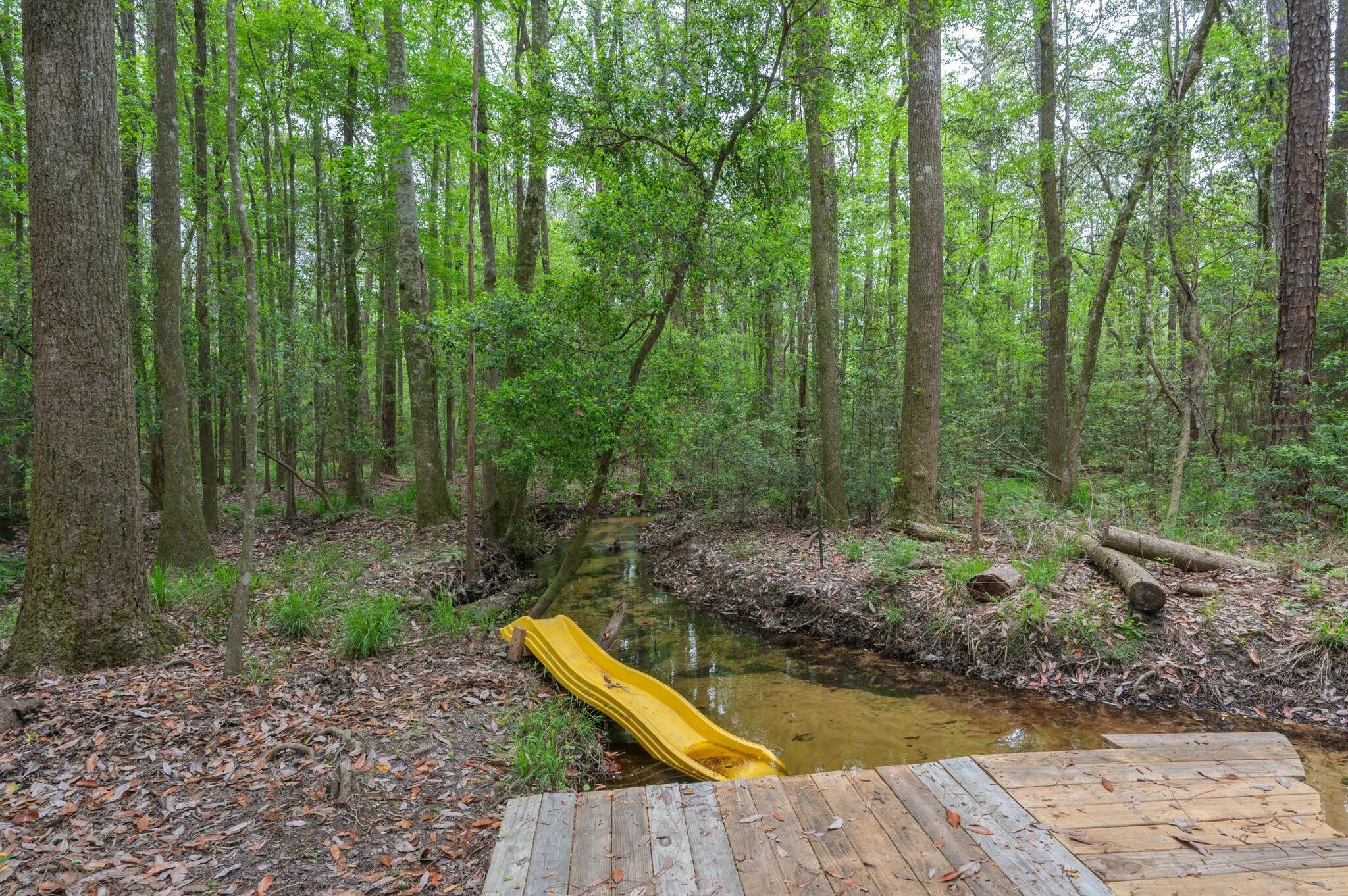 6188 Old River Road Baker, FL 32531 - Photo 32 of 34 a view of a backyard with plants and large trees