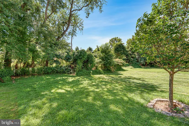 a view of a yard with an trees