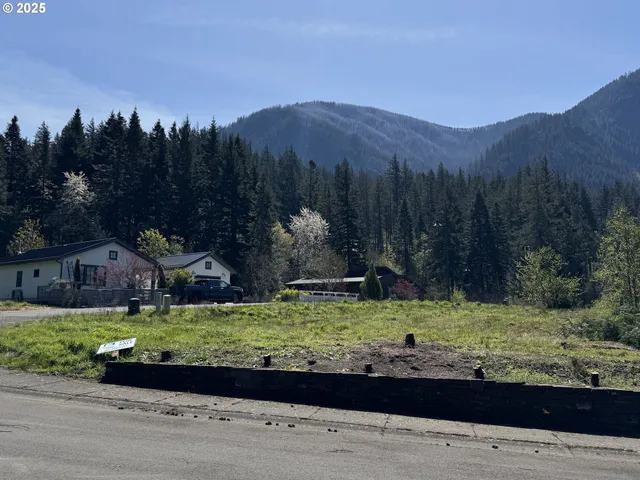 a view of a lake with a mountain in the background