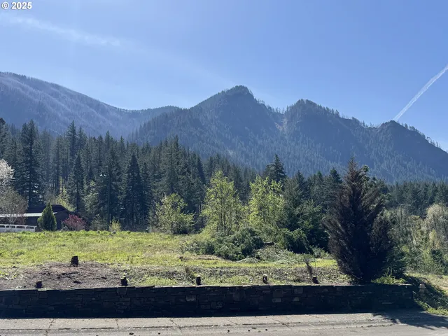 a view of a backyard with green space