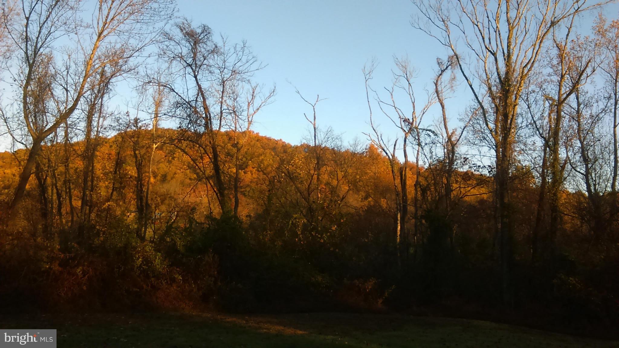115 Bear Wallow Road Huntly, VA 22640 - Photo 22 of 22 View