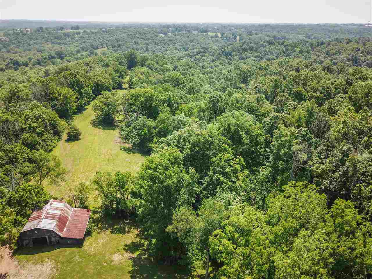 1130 Harrison Ridge Road Dry Ridge, KY 41035 - Photo 4 of 40