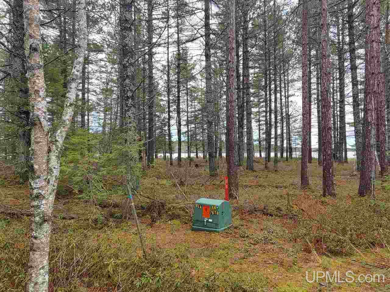 Lot 12 Rice Landing Rd Lake Lake Linden, MI 49945 - Photo 10 of 43