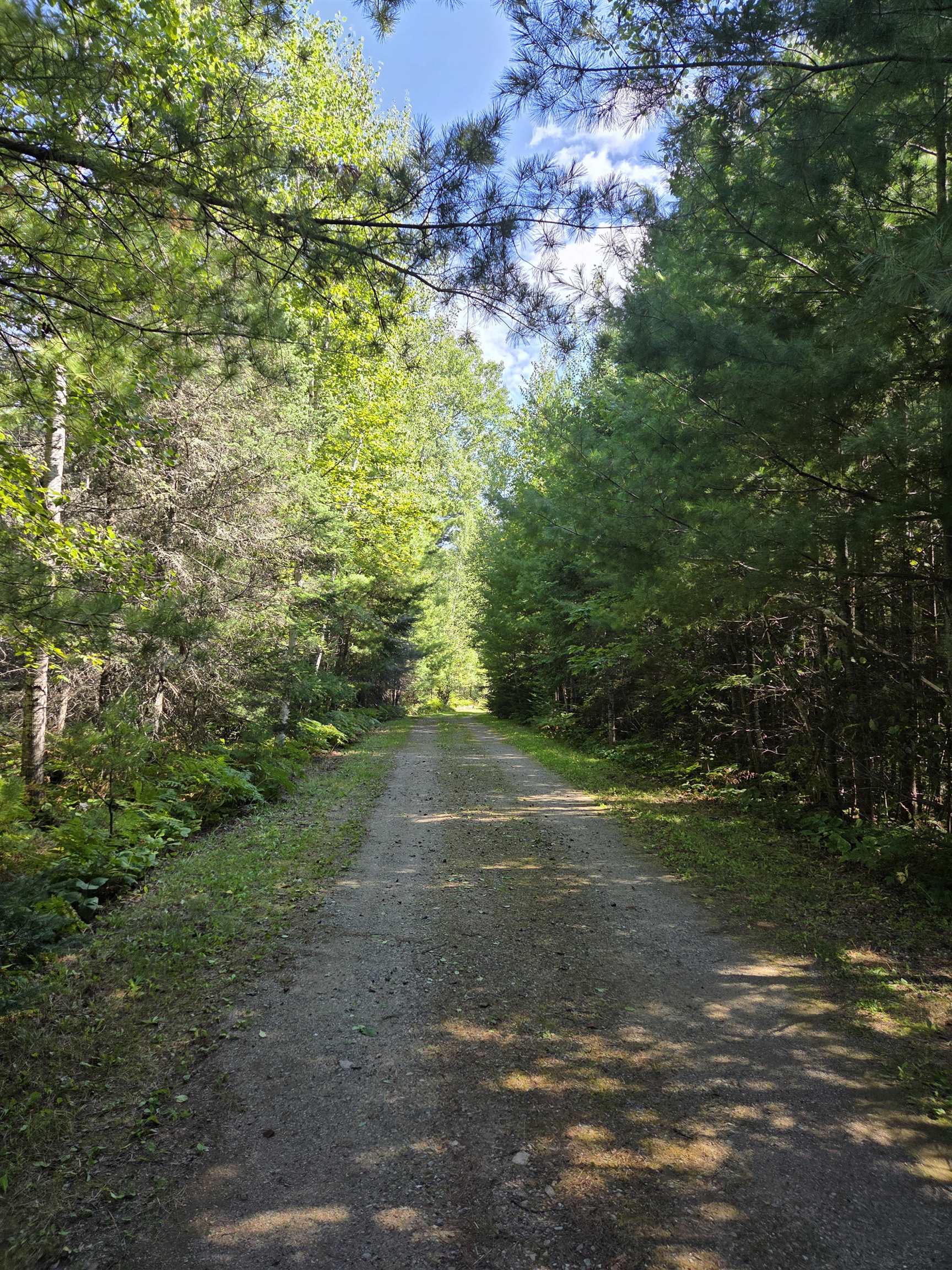 1663 Saari Road Ely, MN 55731 - Photo 25 of 31 Driveway to Home