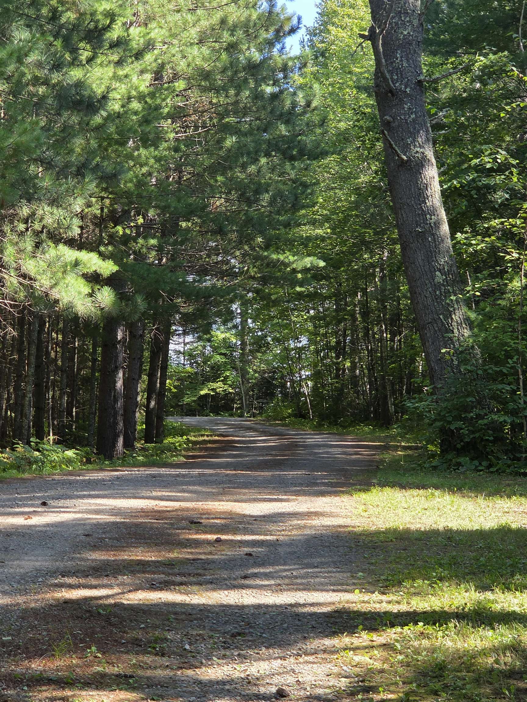 1663 Saari Road Ely, MN 55731 - Photo 26 of 31 Driveway