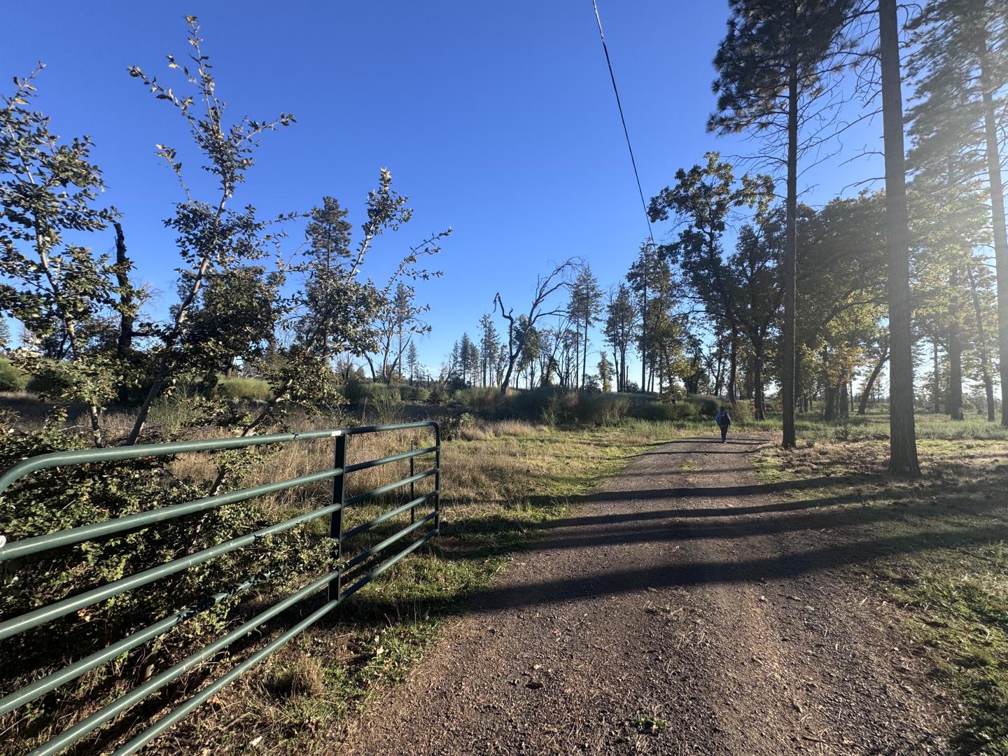 12168 Granite Ridge Road Oroville, CA 95965 - Photo 7 of 34 a view of a yard with wooden fence