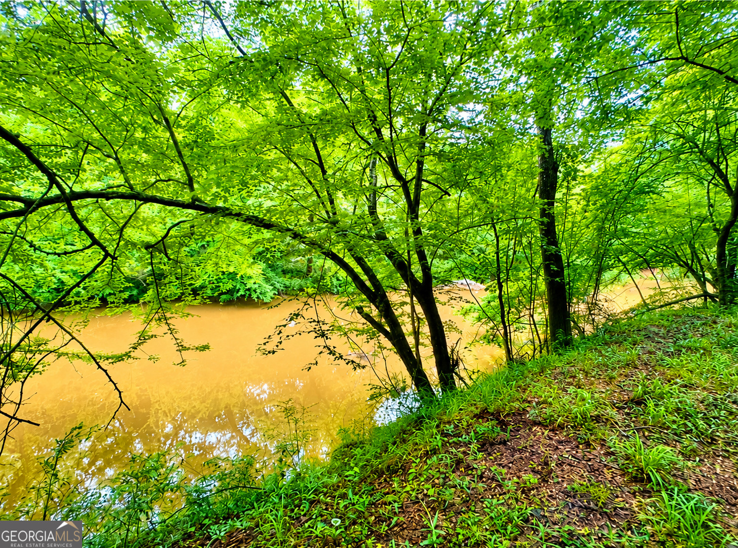 0 Rocky Creek Road Thomaston, GA 30286 - Photo 11 of 30