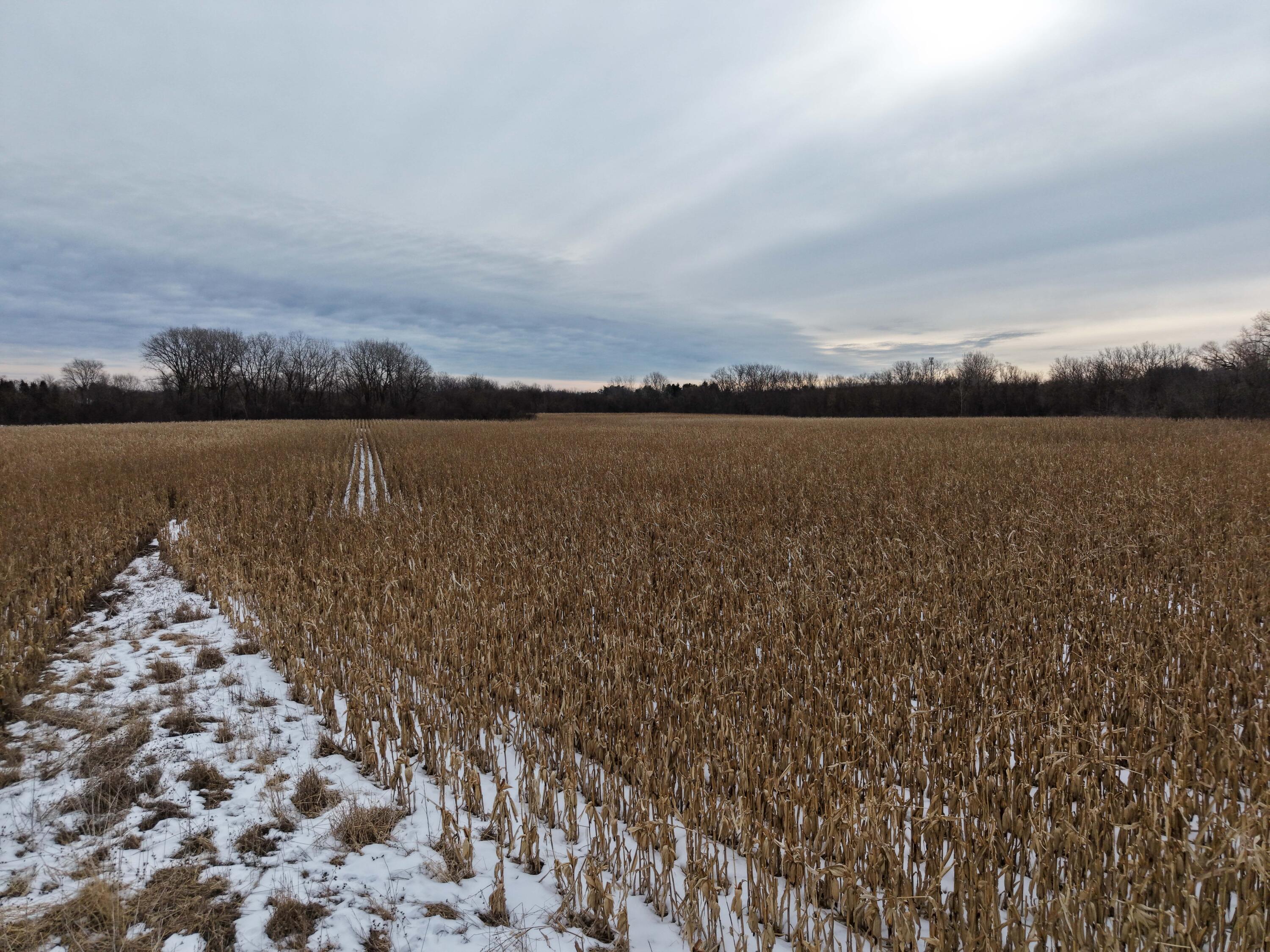 Lt0 30th Avenue Somers, WI 53144 - Photo 6 of 9 DJI_20260212092818_0055_D
