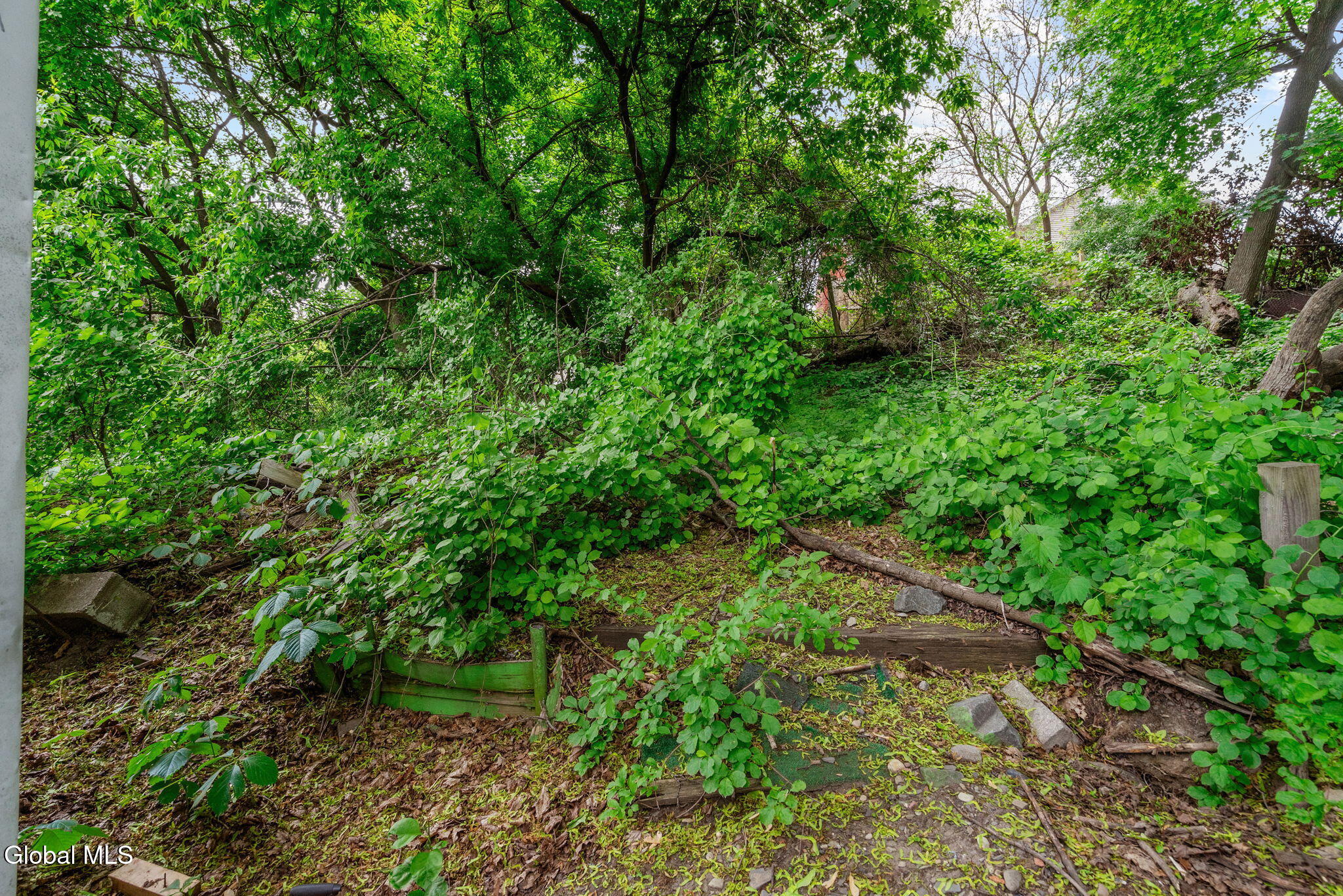 372 9th Street Troy, NY 12180 - Photo 32 of 35 back yard