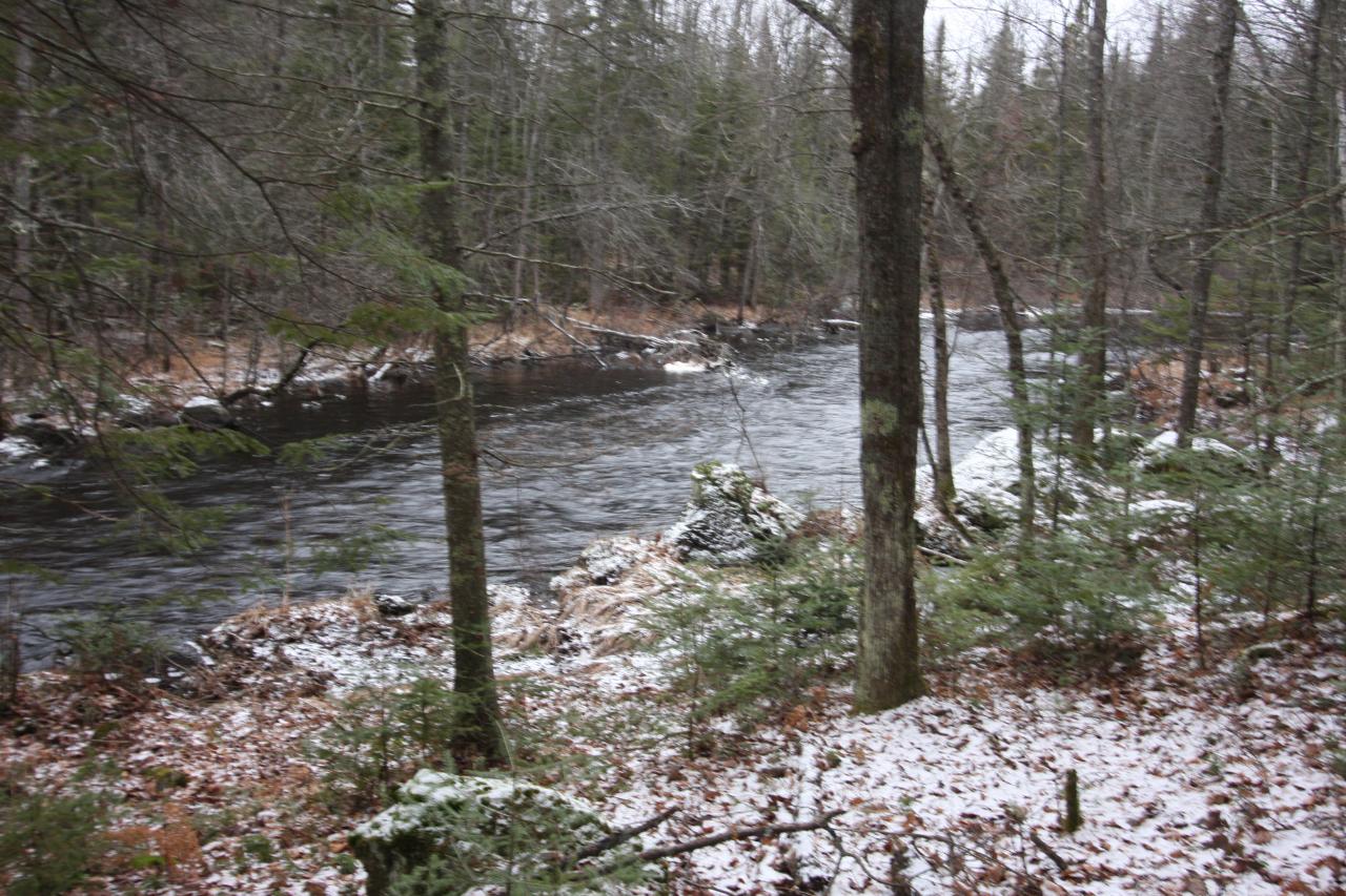 Lot 9 Murmuring Pnes Trail Rhinelander, WI 54501 - Photo 3 of 17 Gallery Image 3