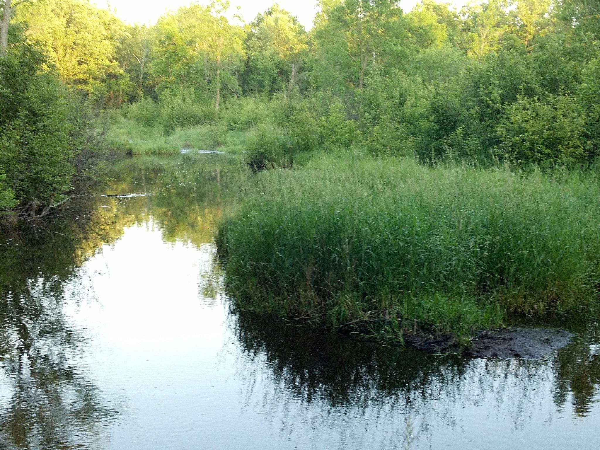 10005 Rice Road Brook Park, MN 55007 - Photo 5 of 8
