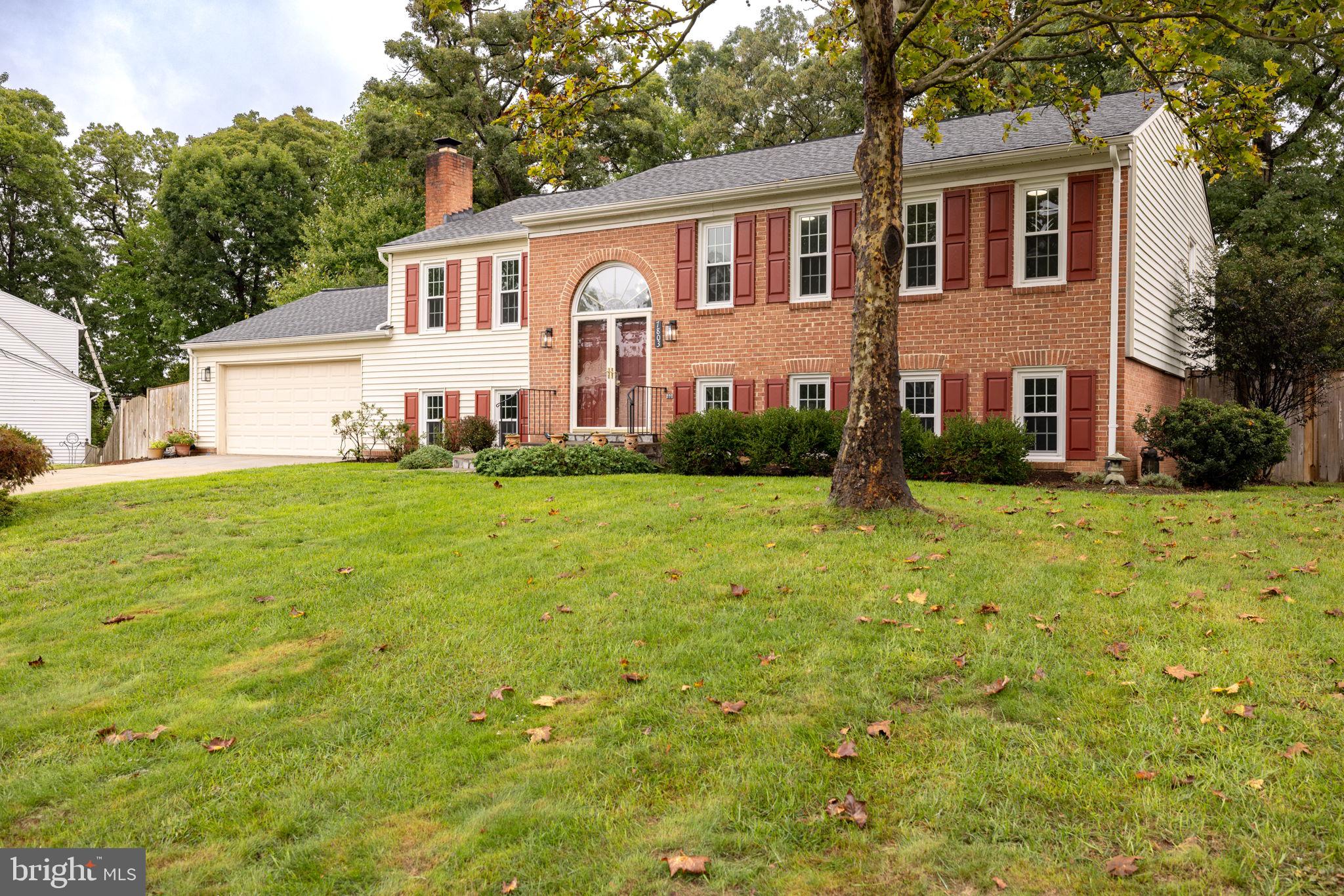 7803 Richfield Road Springfield, VA 22153 - Photo 3 of 51 Gallery Image 3