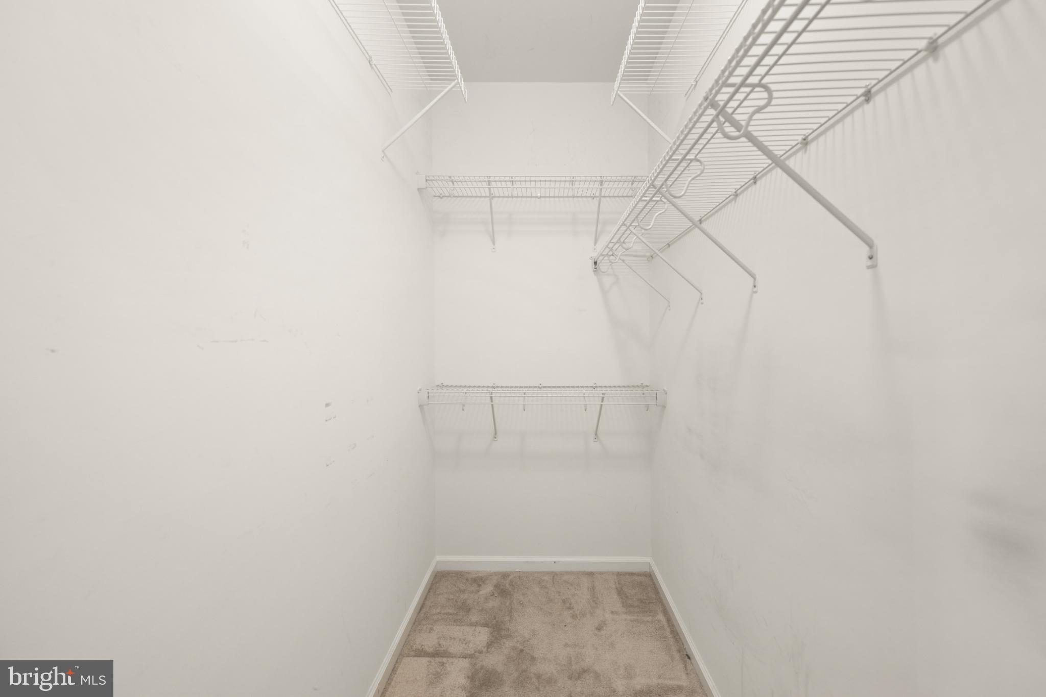 12 Harlequin Loop Bridgeville, DE 19933 - Photo 18 of 47 Spacious closet ready for organization.