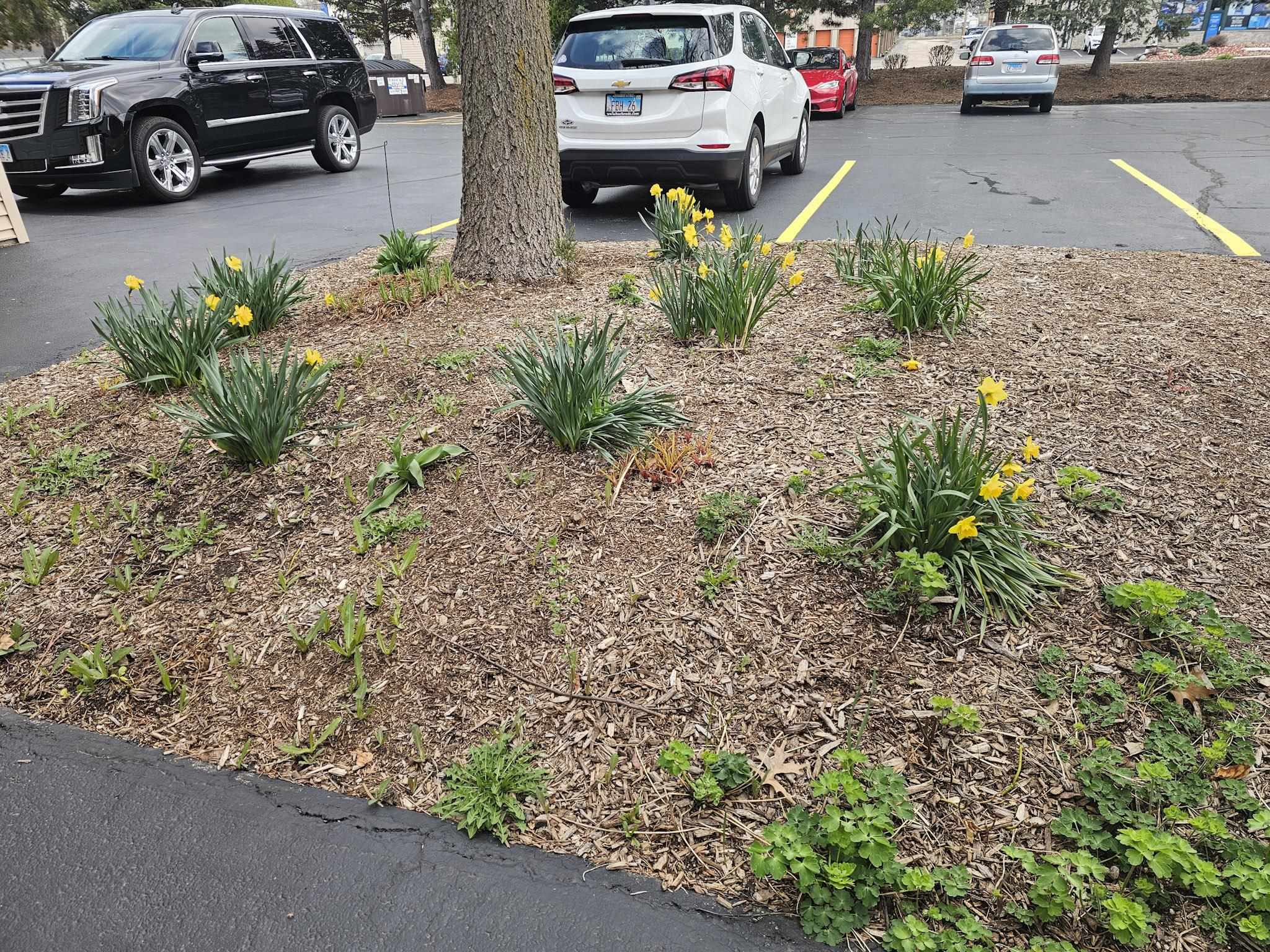 7260 North Alpine Road, Unit 4 Loves Park, IL 61111 - Photo 17 of 27