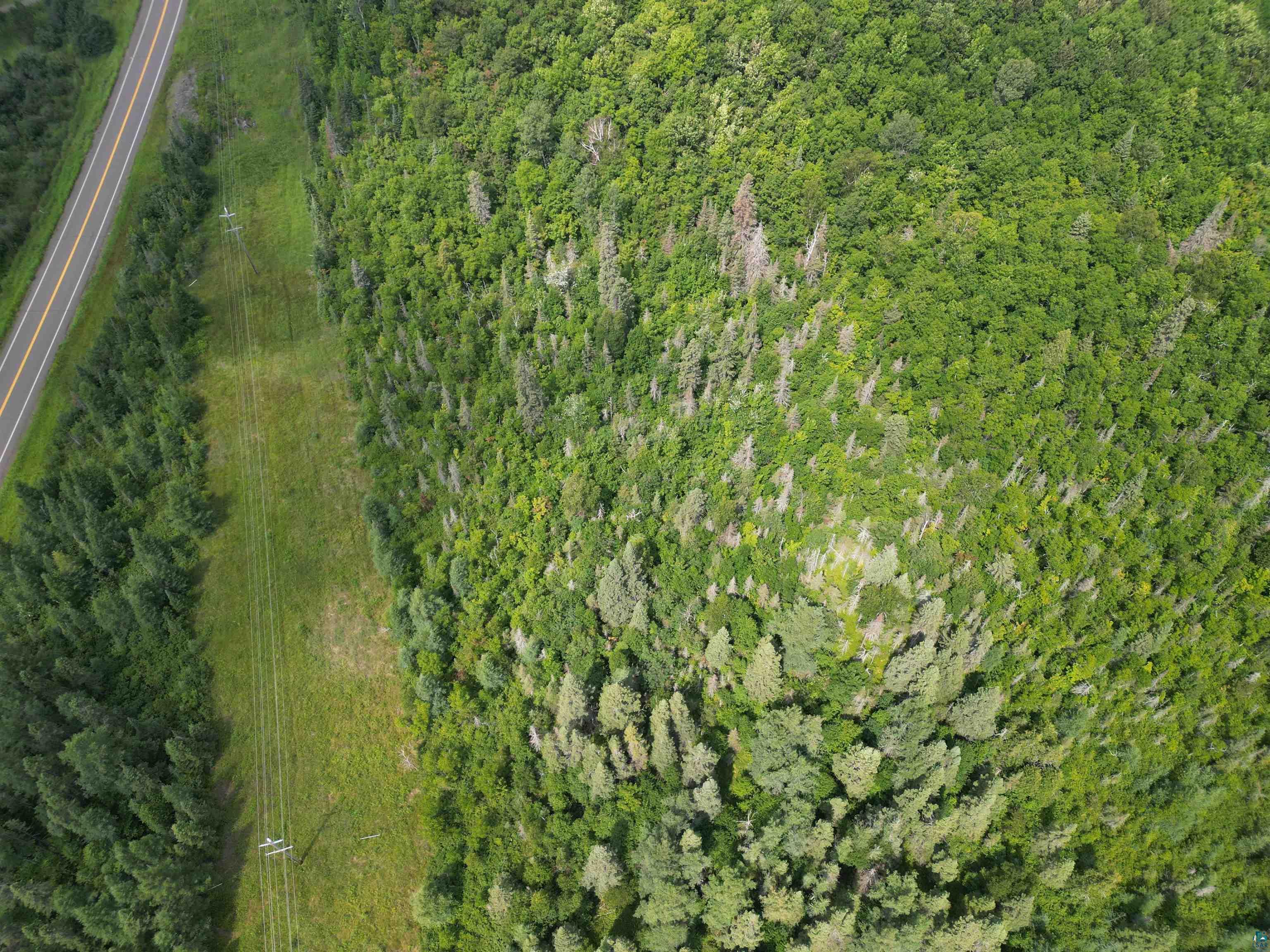 Tbd Little Marais Road Finland, MN 55603 - Photo 13 of 25