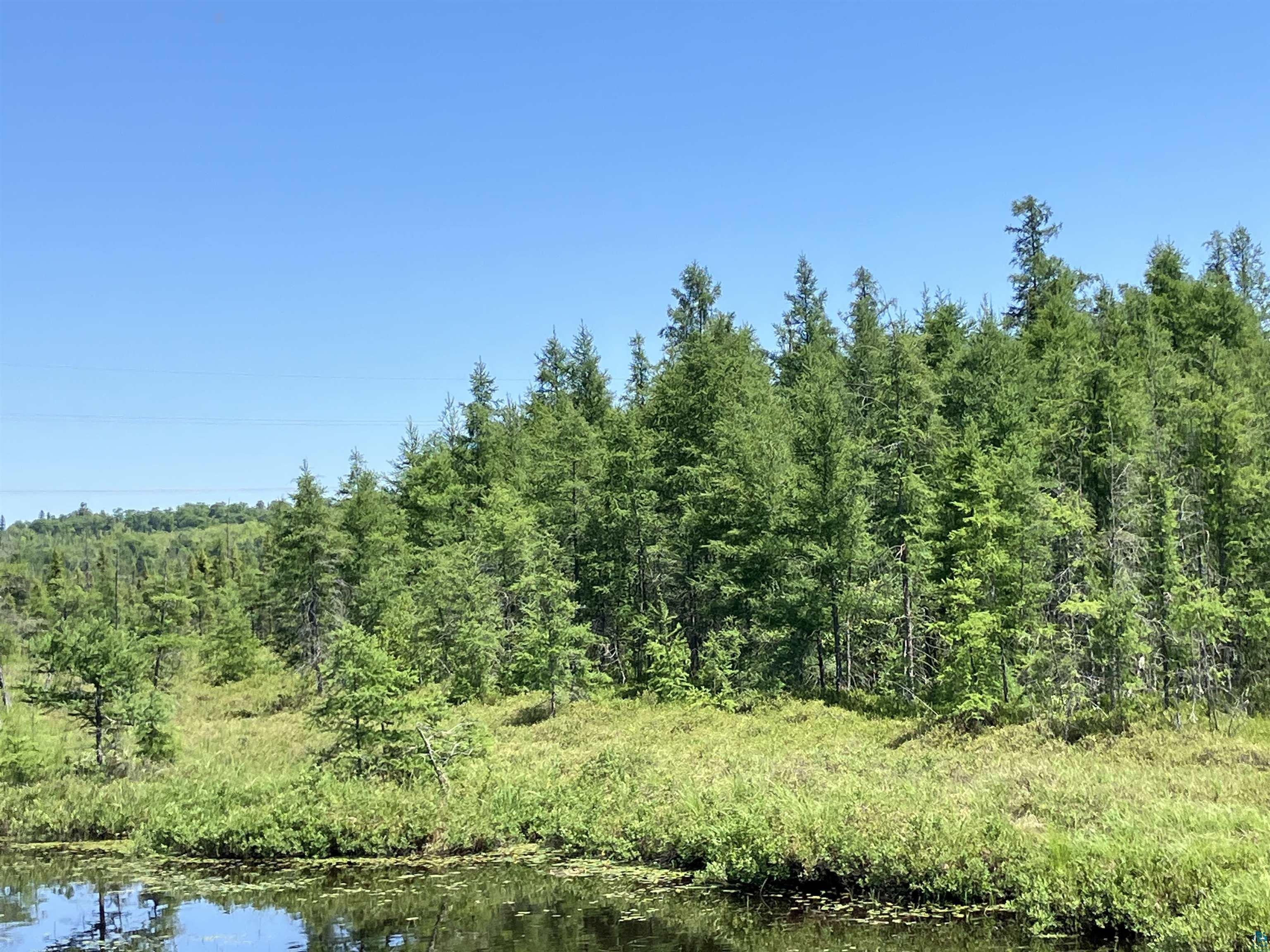 Tbd Little Marais Road Finland, MN 55603 - Photo 24 of 25